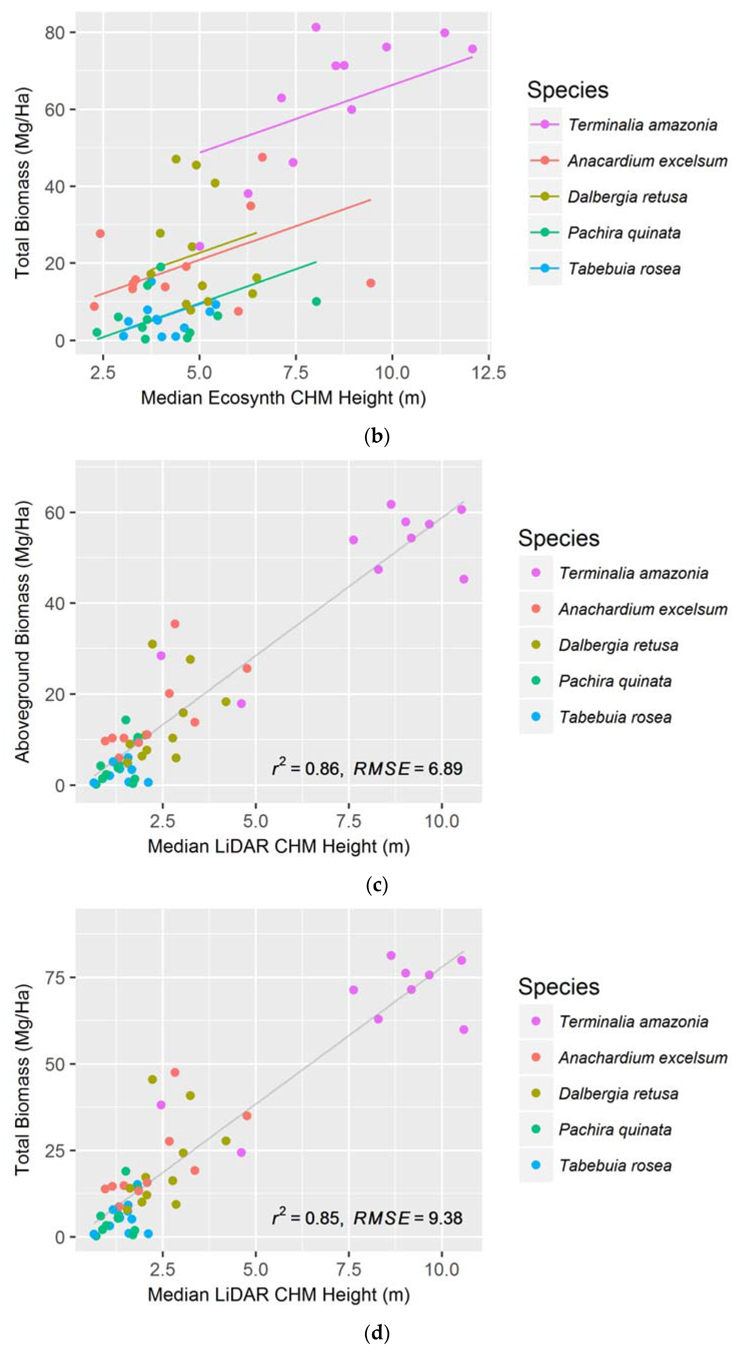 Forests 08 00168 g004b 550