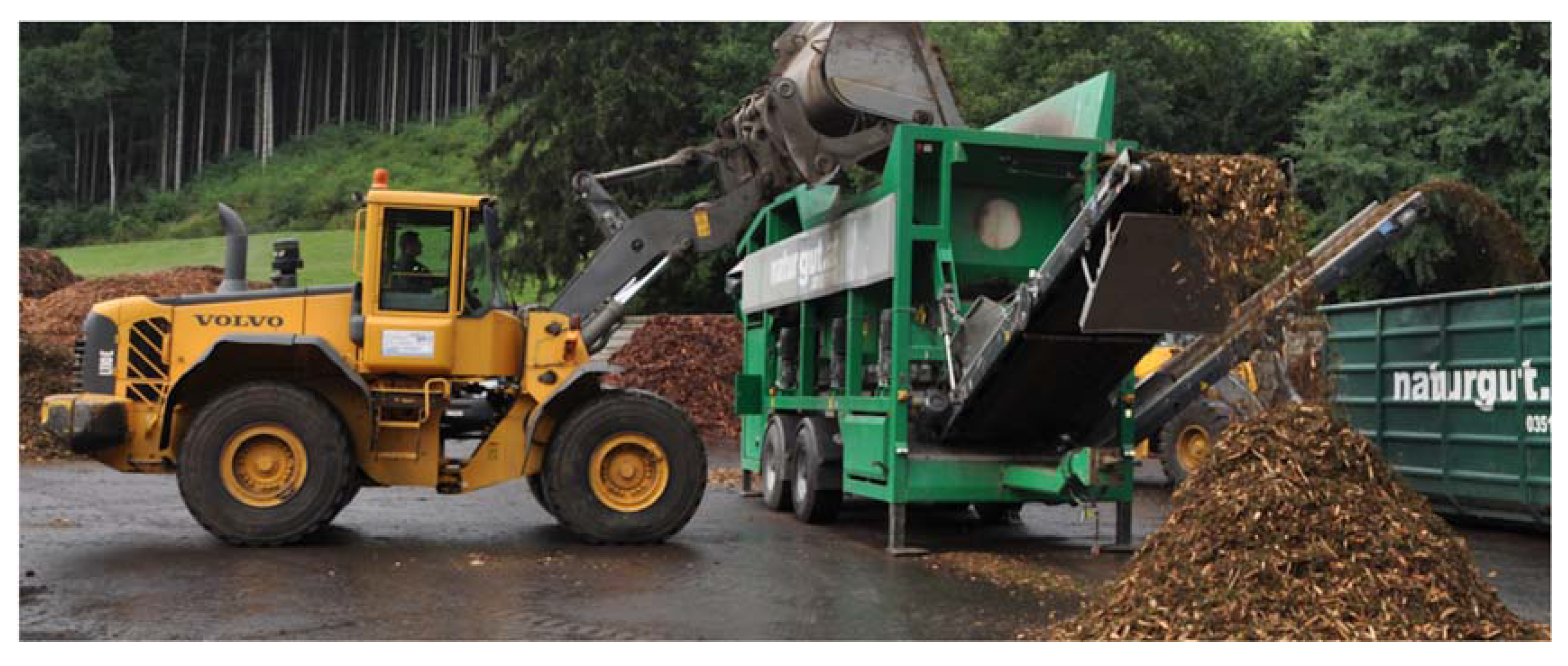 Forests 08 00171 g001 550