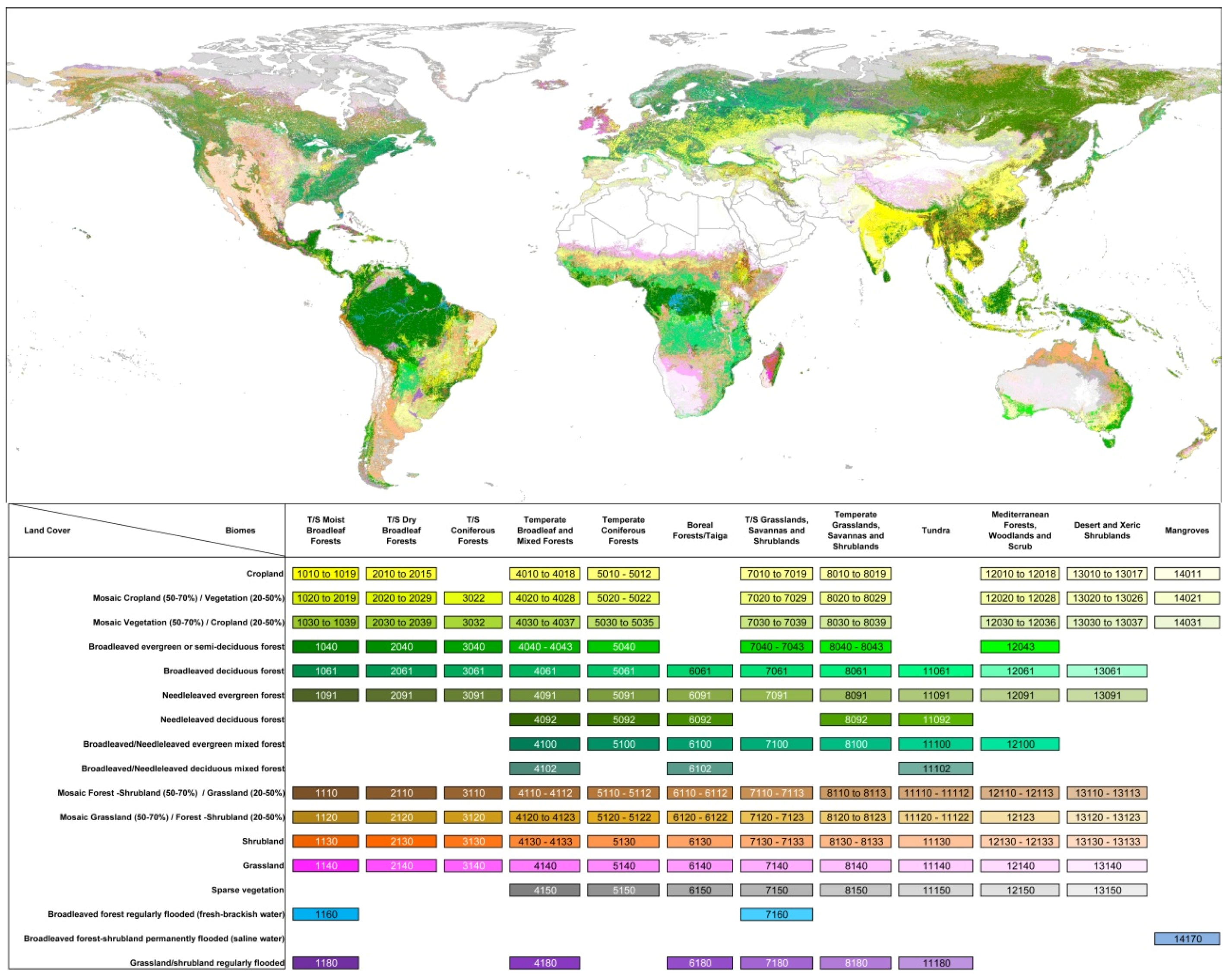 Forests 08 00179 g002