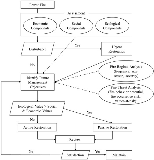 Components Of Ecosystem Flow Chart