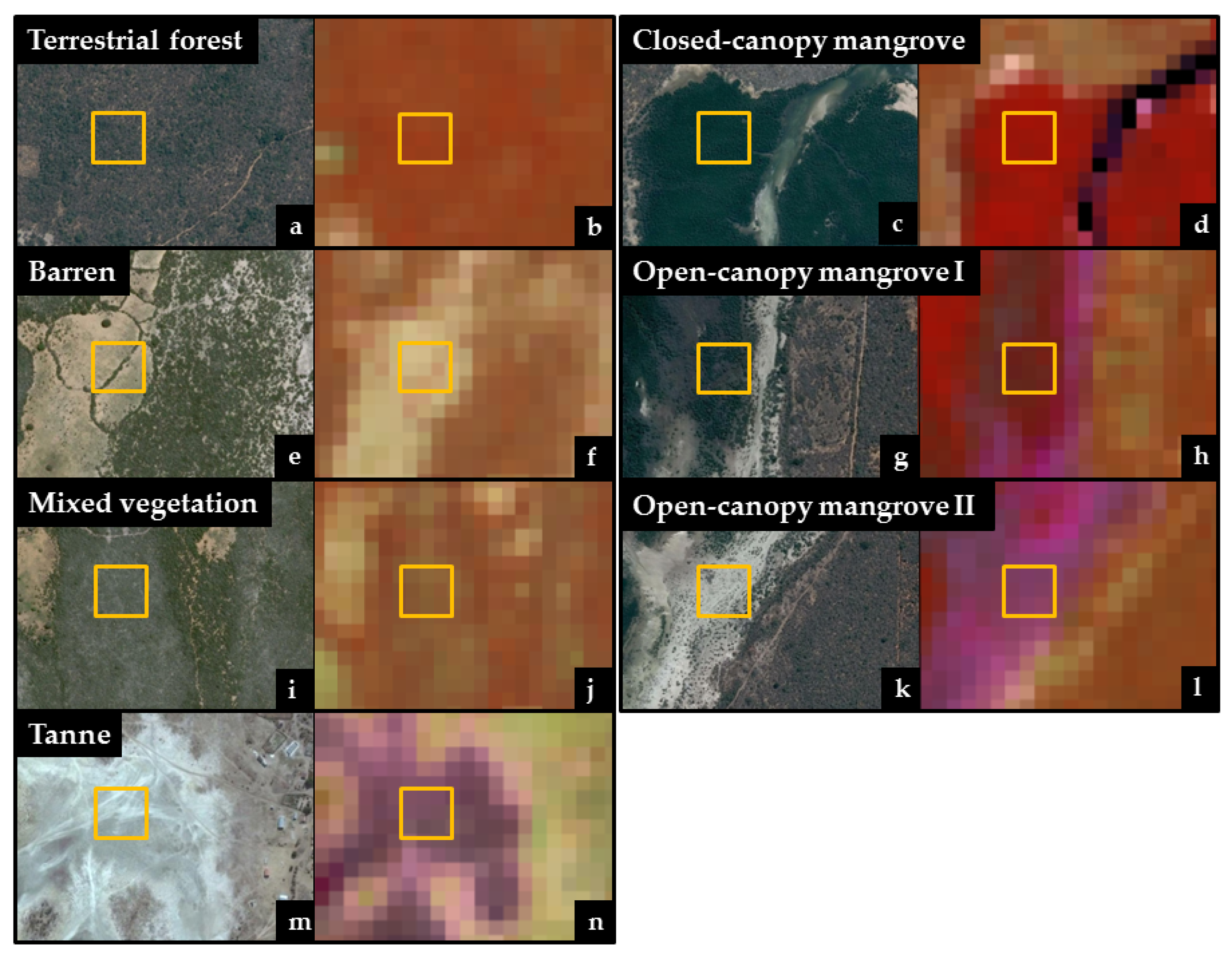 Forests 08 00190 g003 550