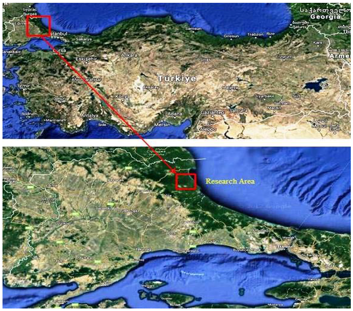 Forests 08 00199 g001 550