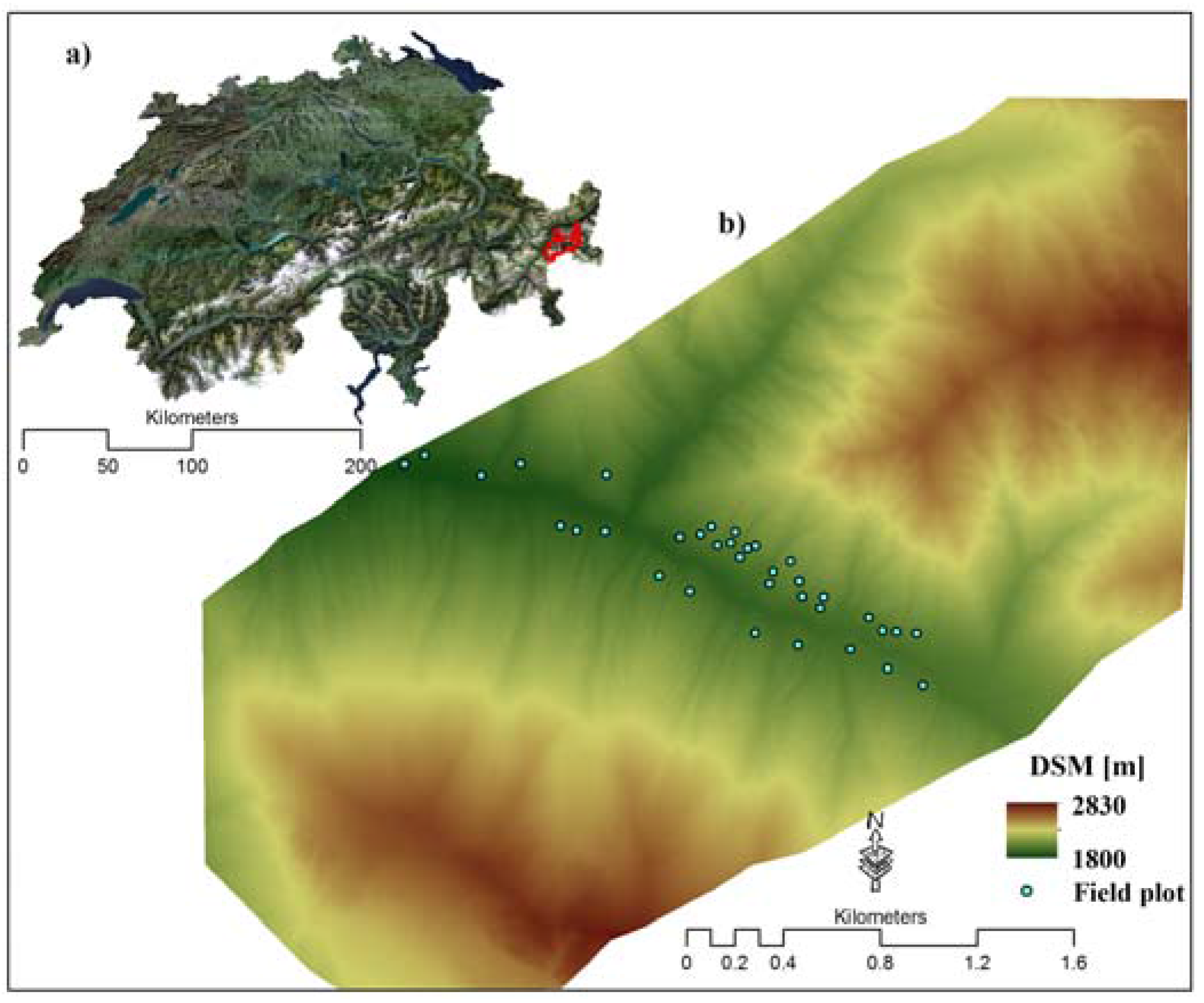 Forests 08 00212 g001