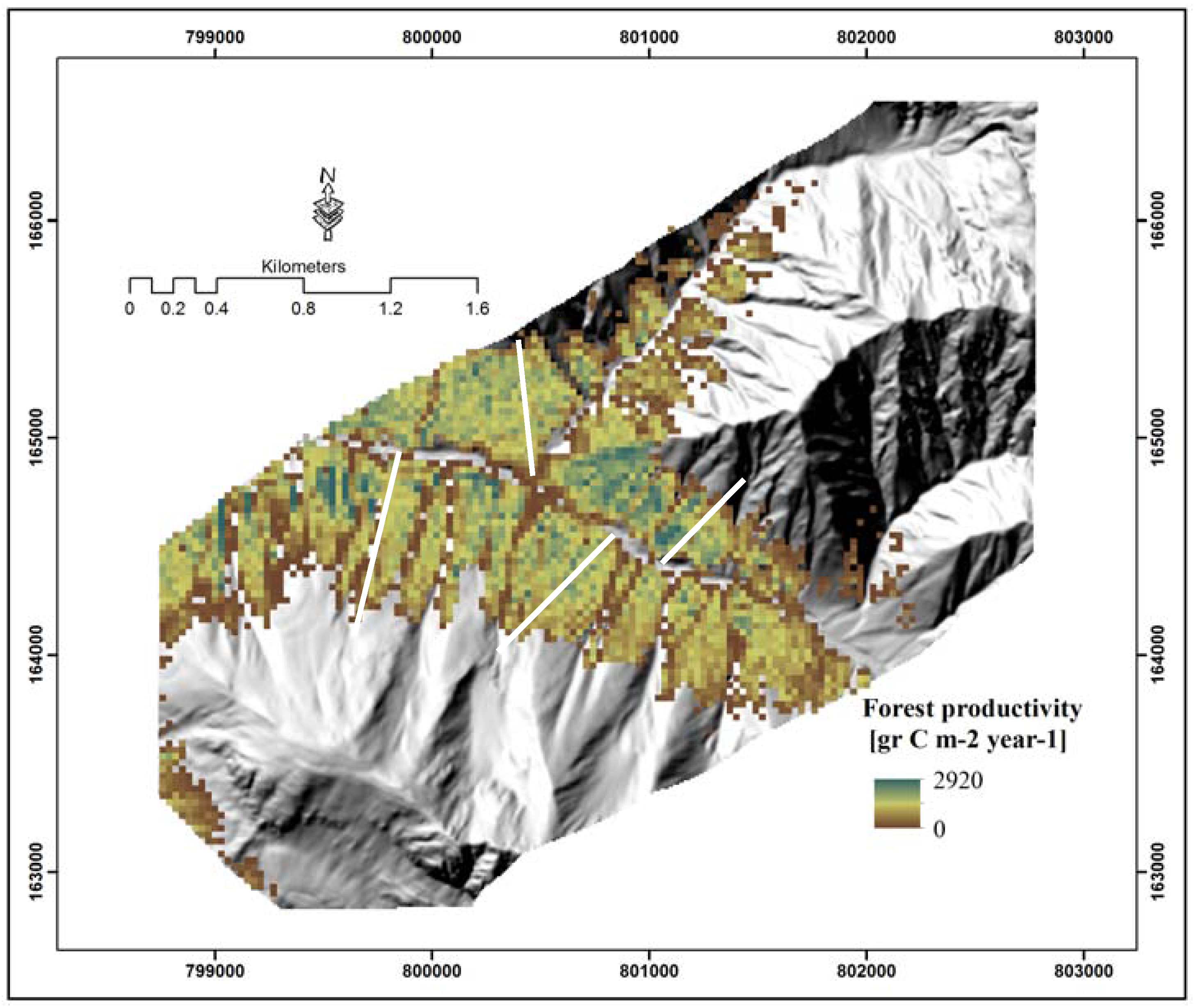 Forests 08 00212 g009