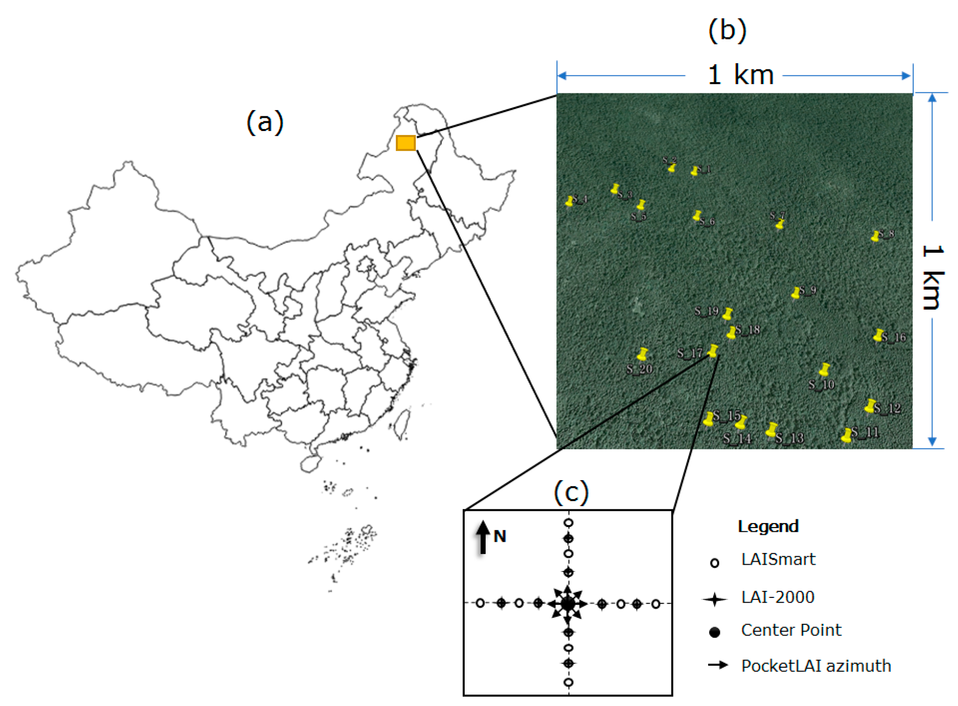 Forests 08 00217 g001