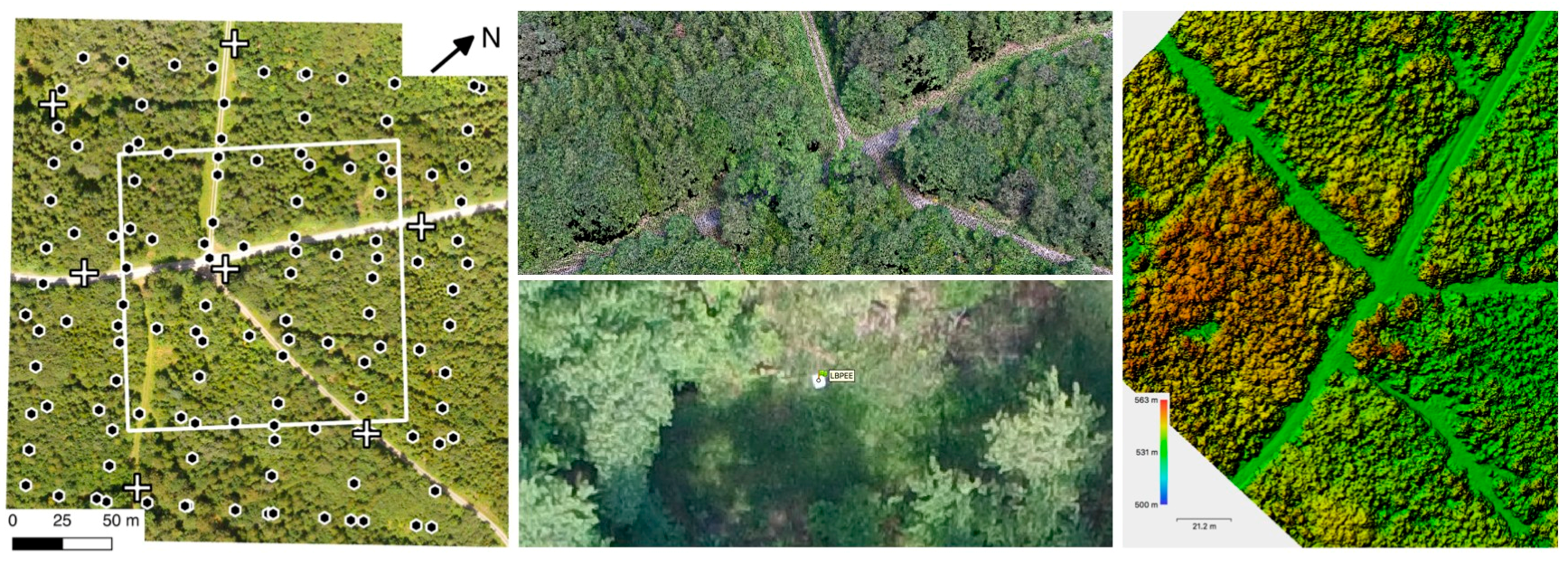 Forests 08 00231 g001 550