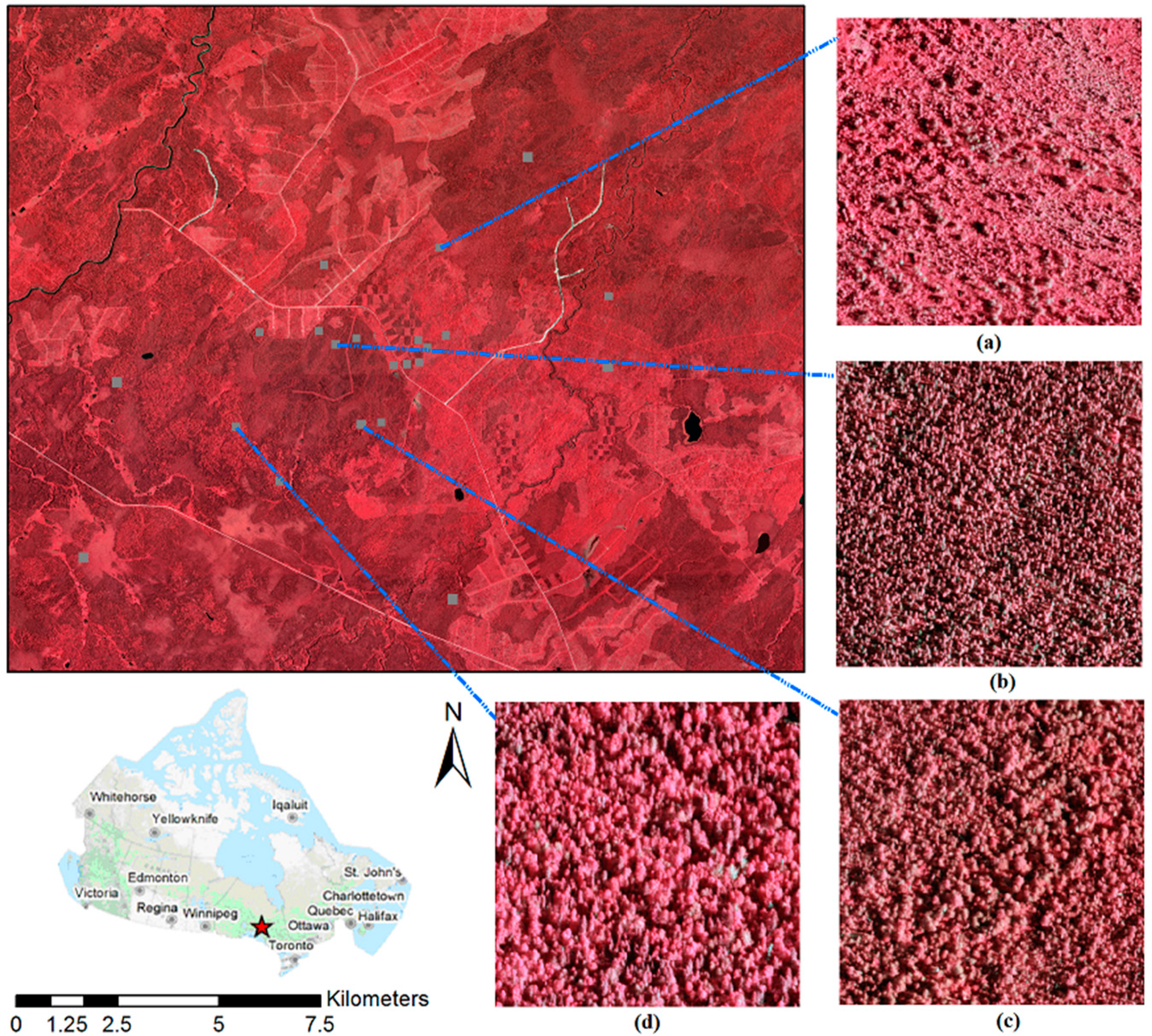 Forests 08 00234 g001