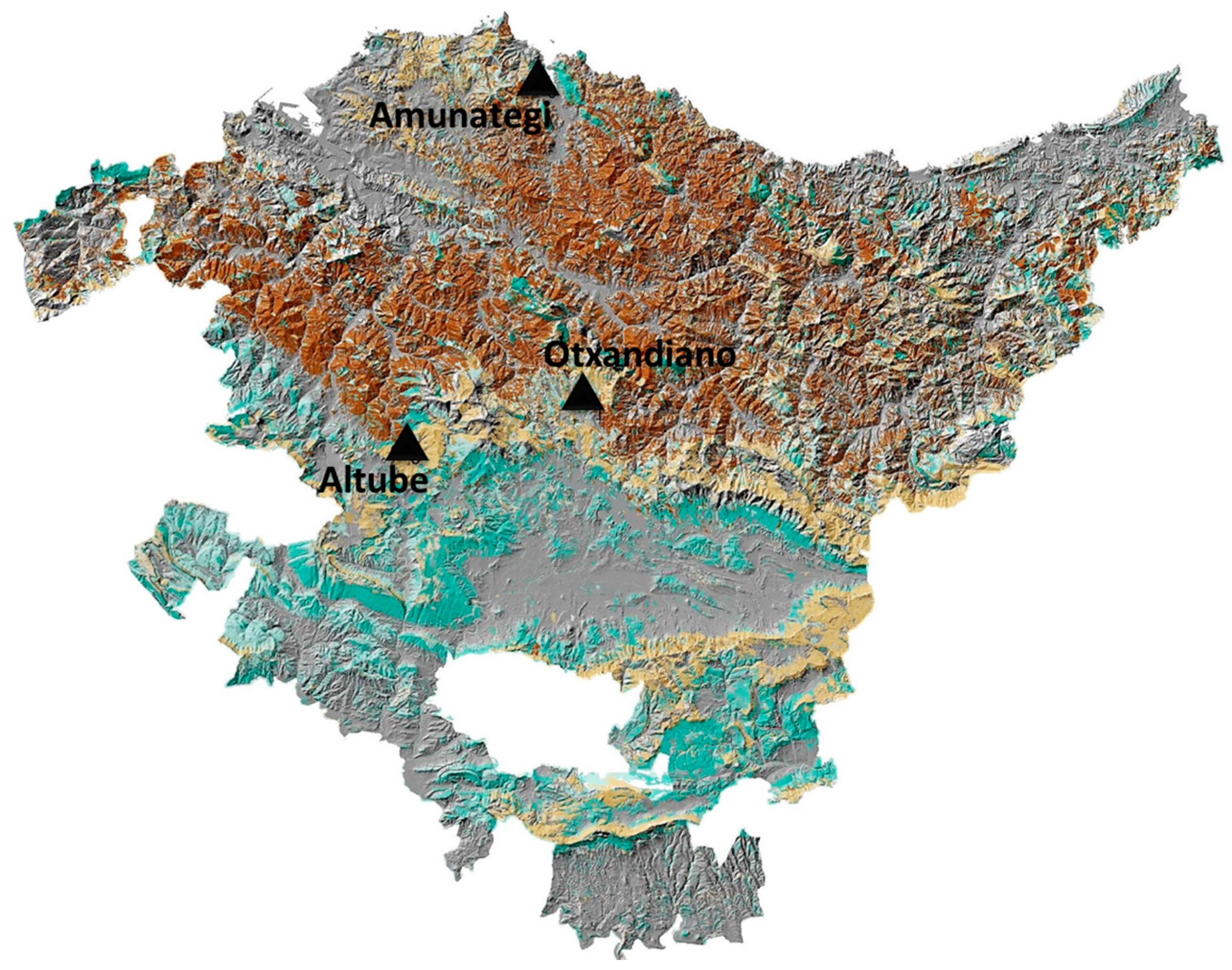 Forests 08 00235 g001 550