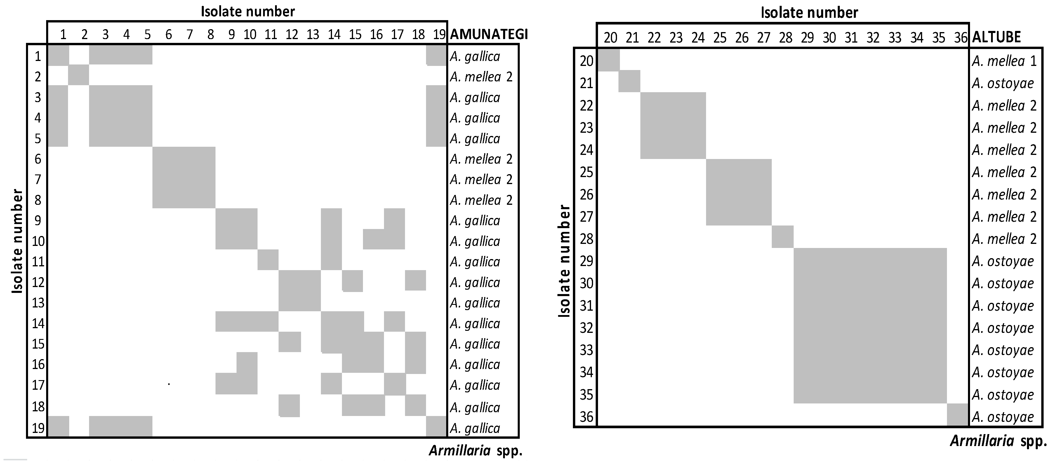 Forests 08 00235 g006 550