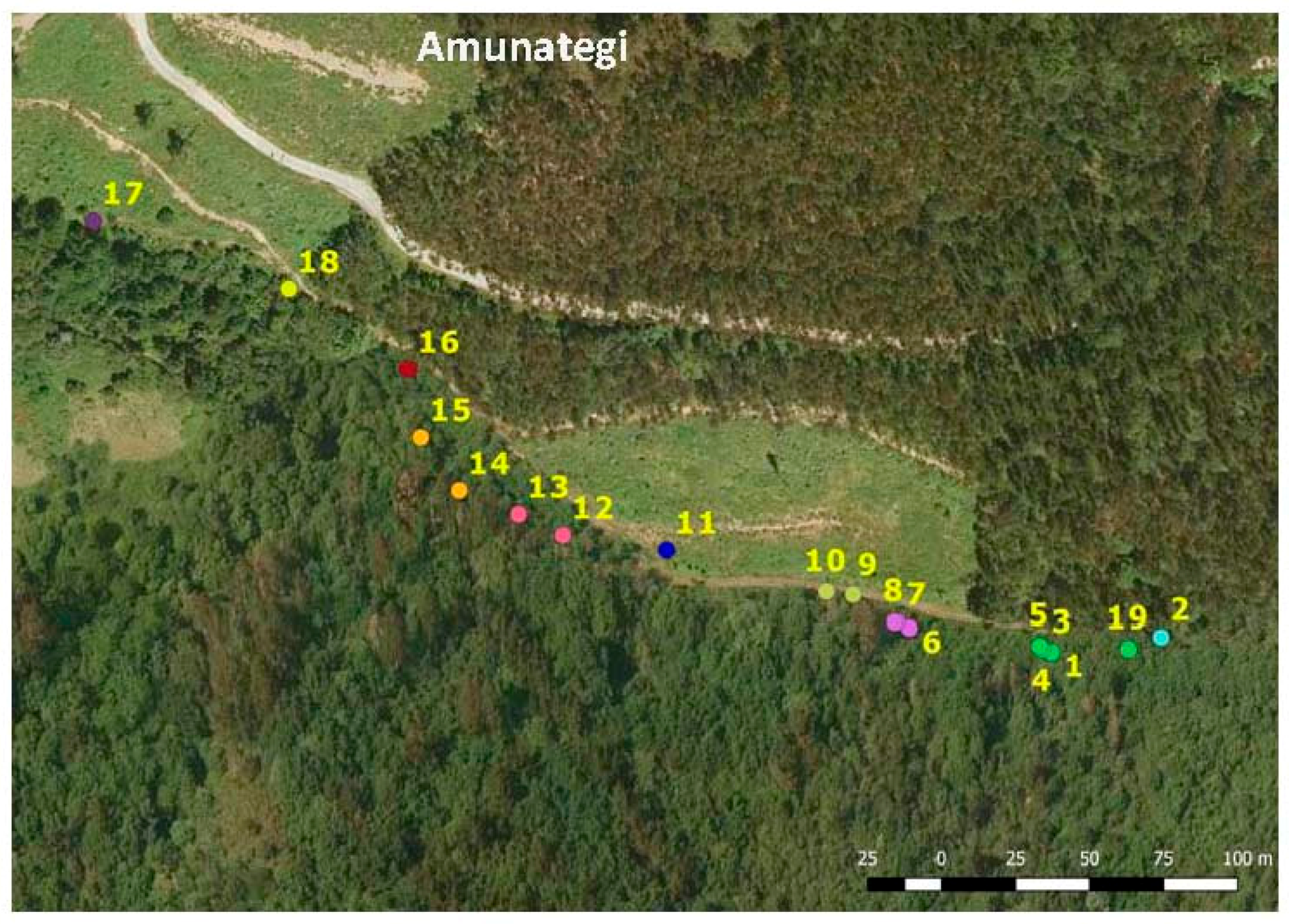 Forests 08 00235 g007a 550