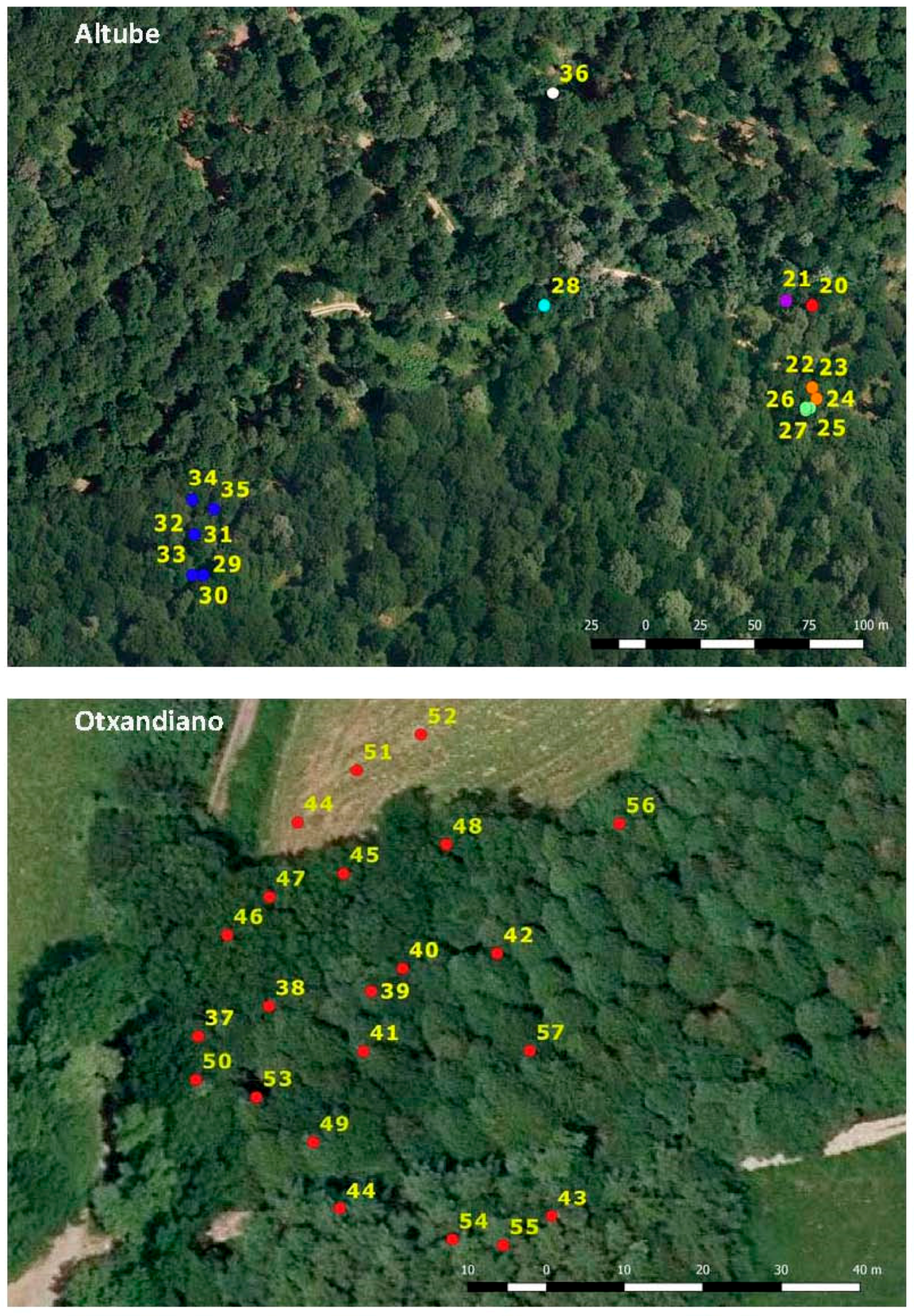 Forests 08 00235 g007b 550