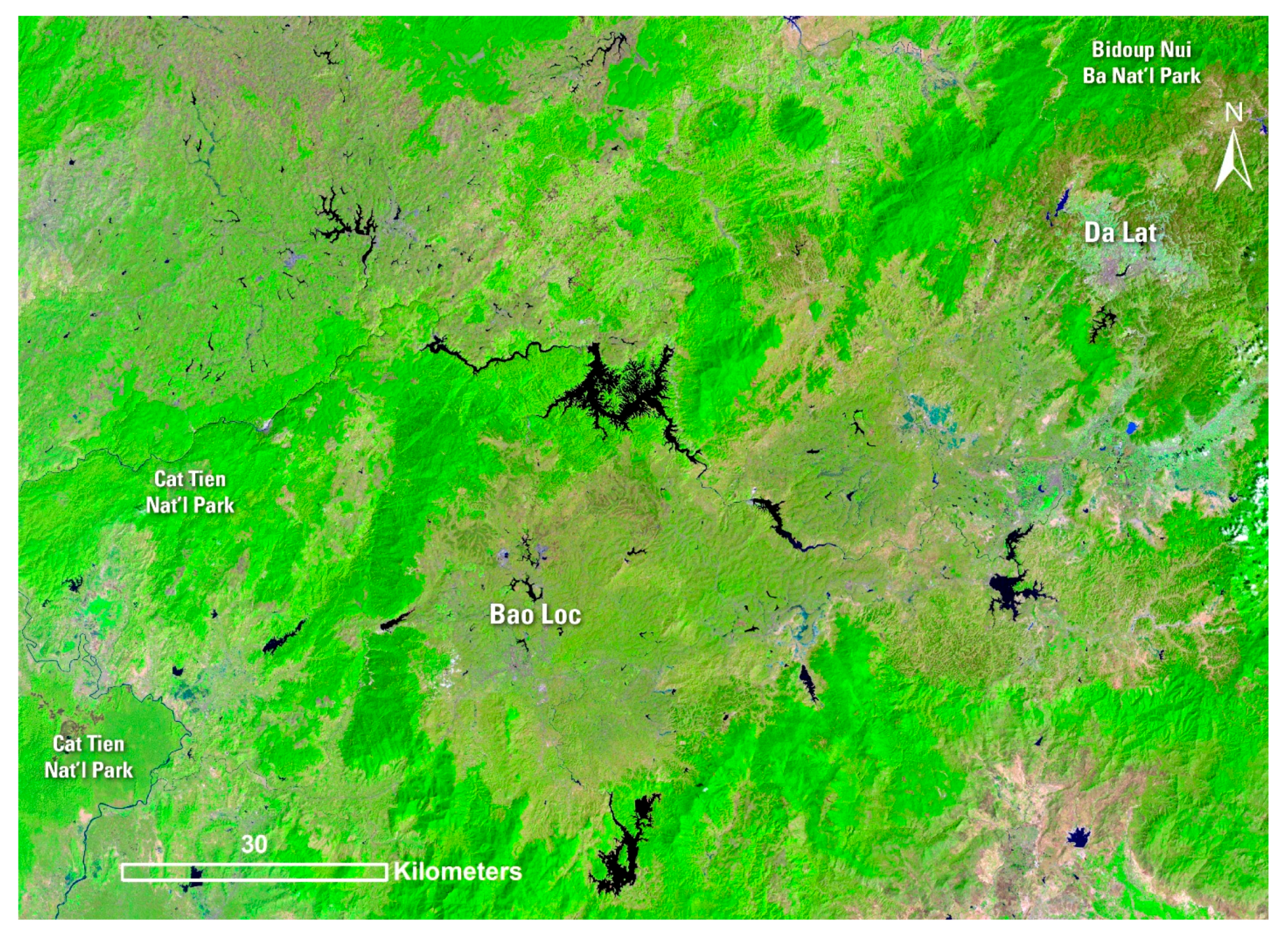Forests 08 00238 g002