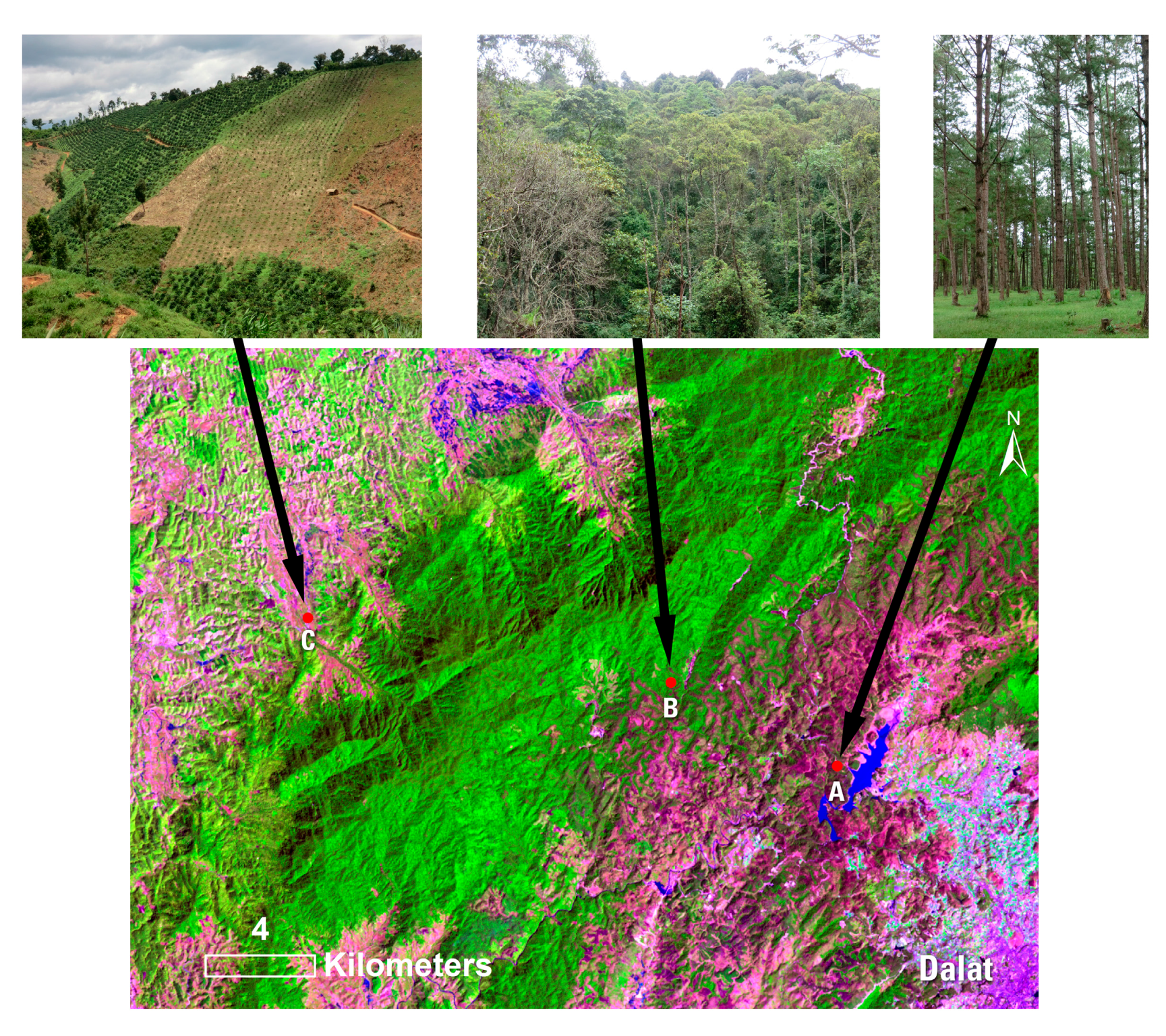 Forests 08 00238 g003