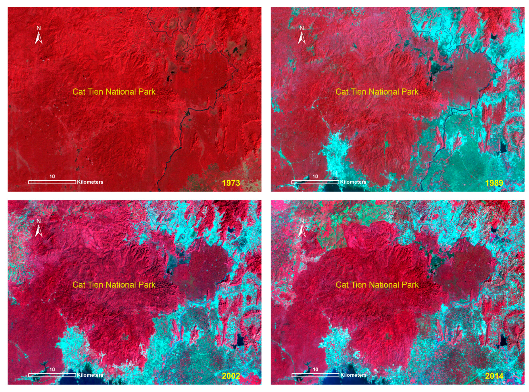 Forests 08 00238 g006