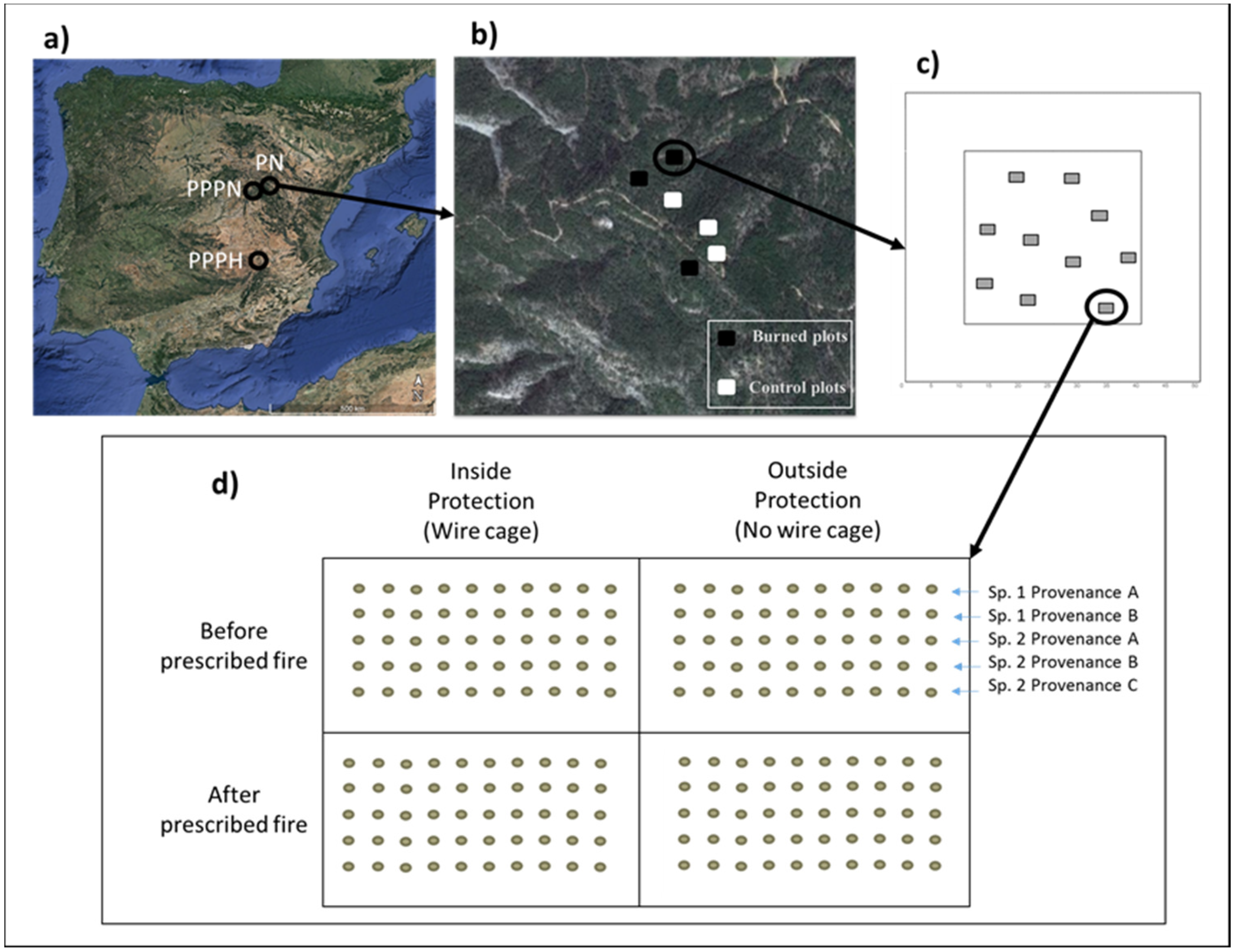 Forests 08 00243 g001 550