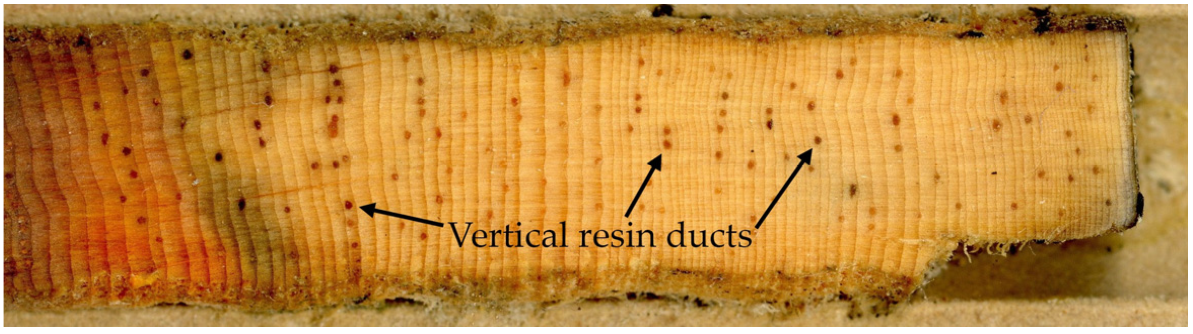 Forests 08 00244 g002