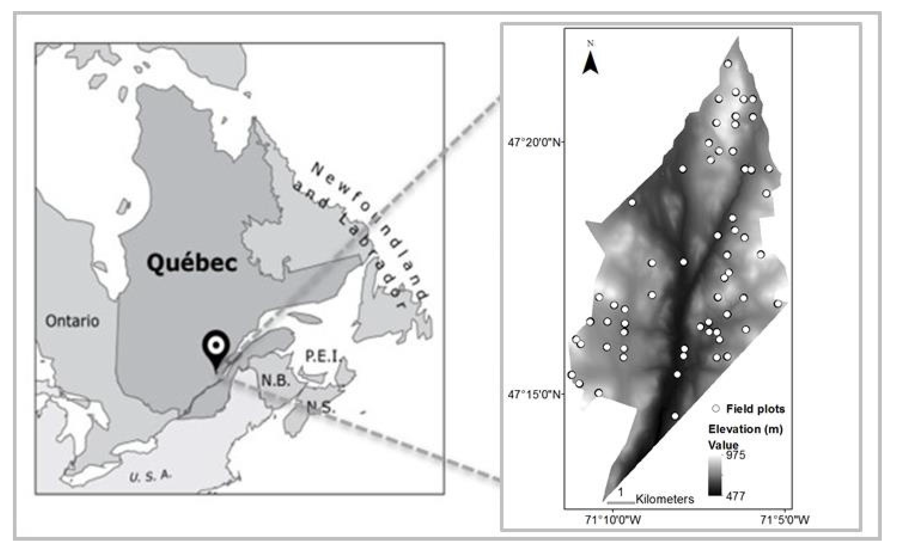Forests 08 00253 g001 550