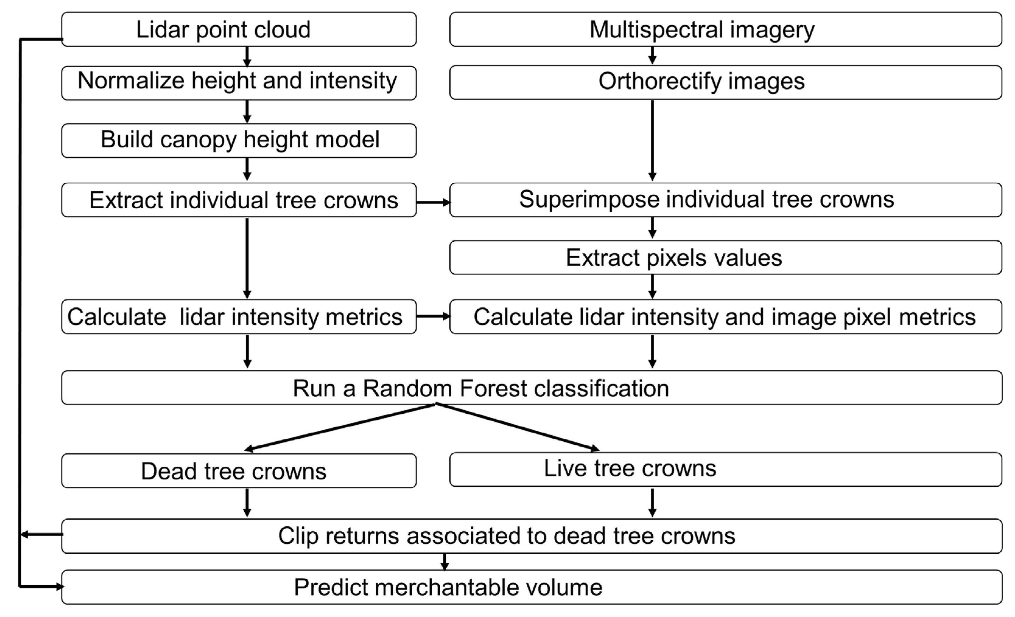 Forests 08 00253 g002 550