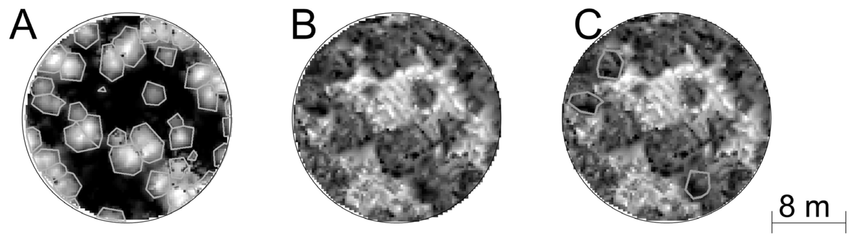 Forests 08 00253 g004 550