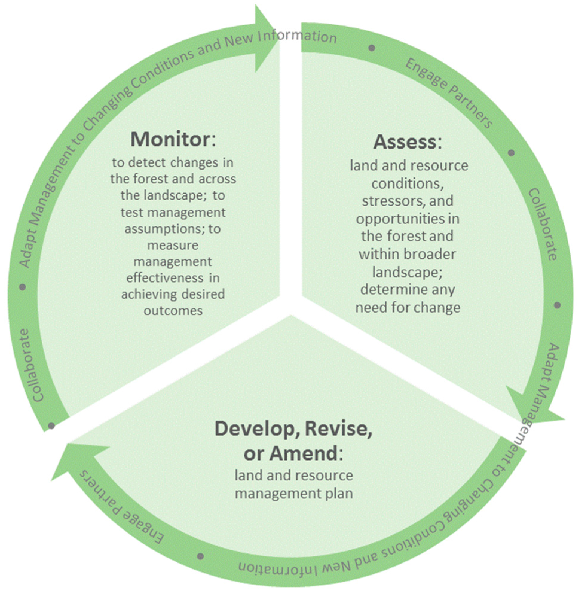 Forests 08 00259 g001
