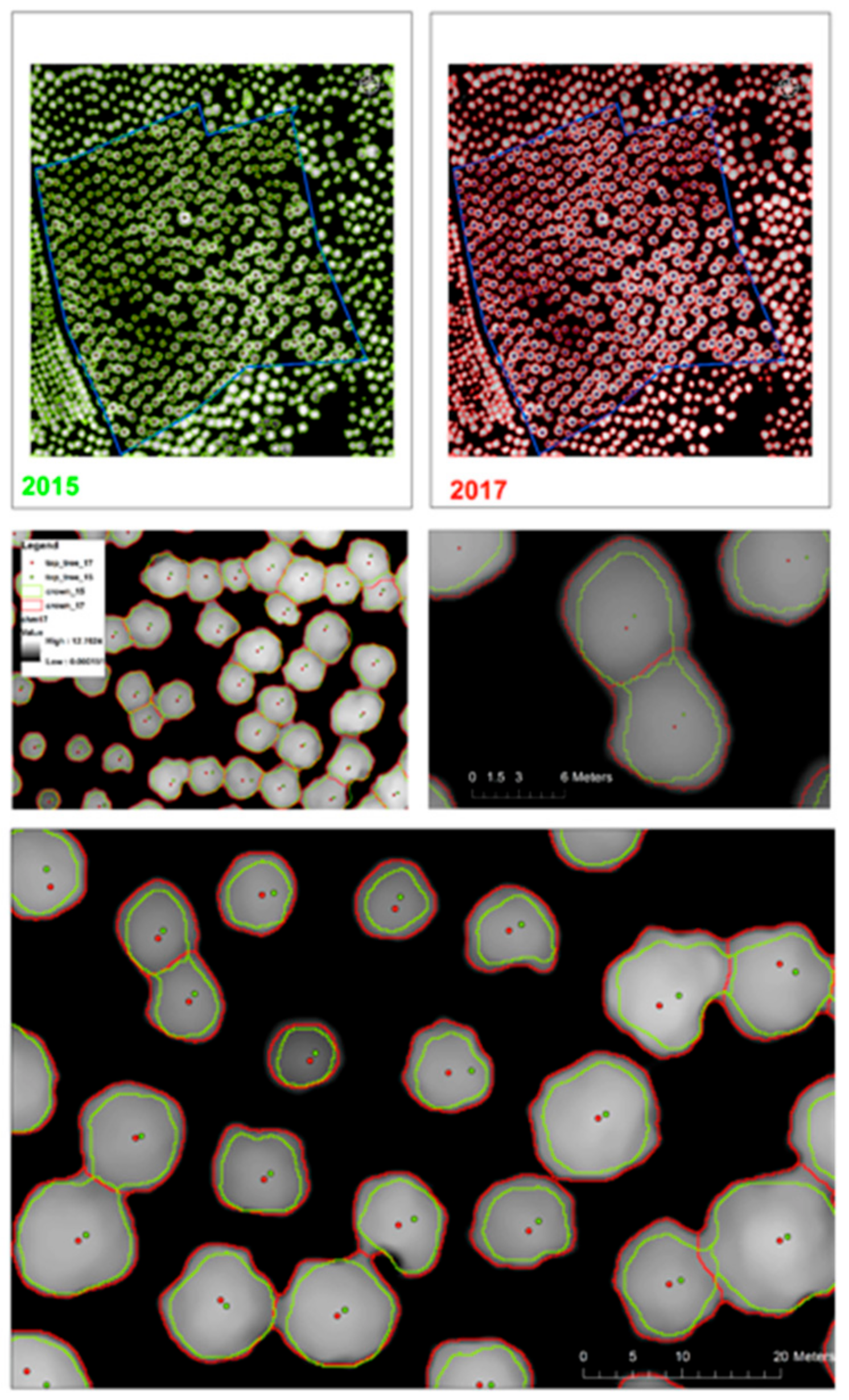 Forests 08 00300 g003 Forests 08 00300 g003