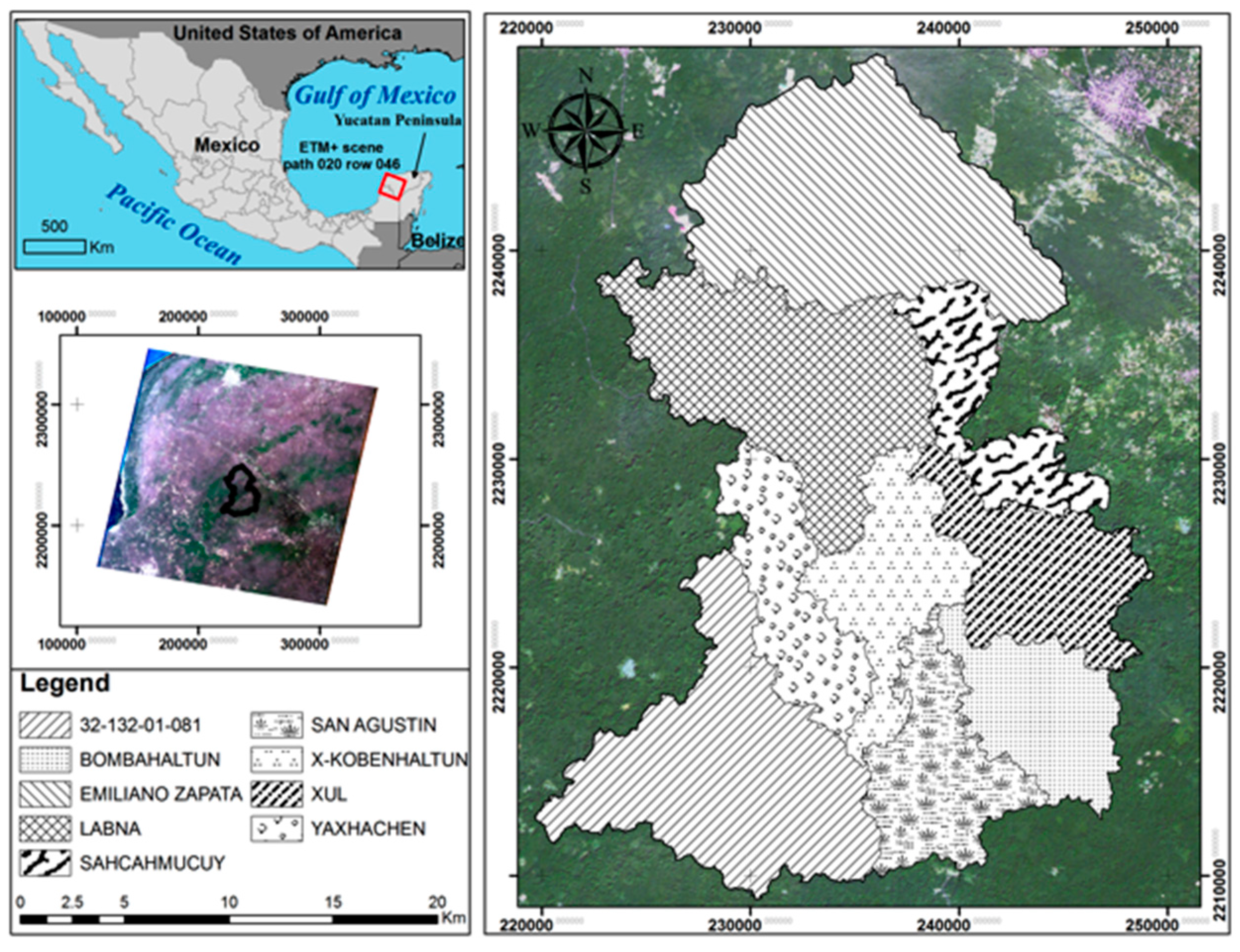 Forests 08 00302 g001