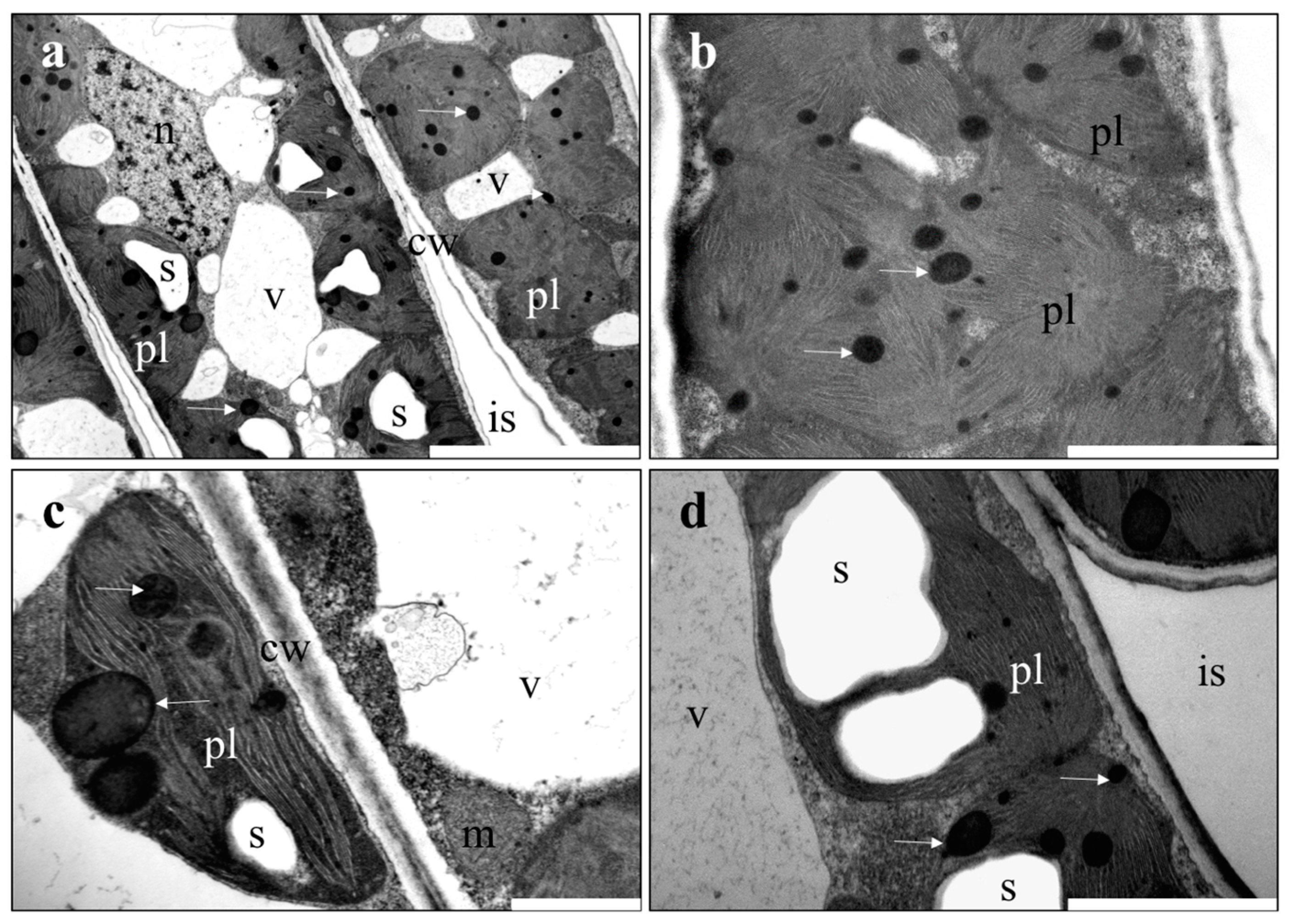 Forests 08 00310 g002 Forests 08 00310 g002