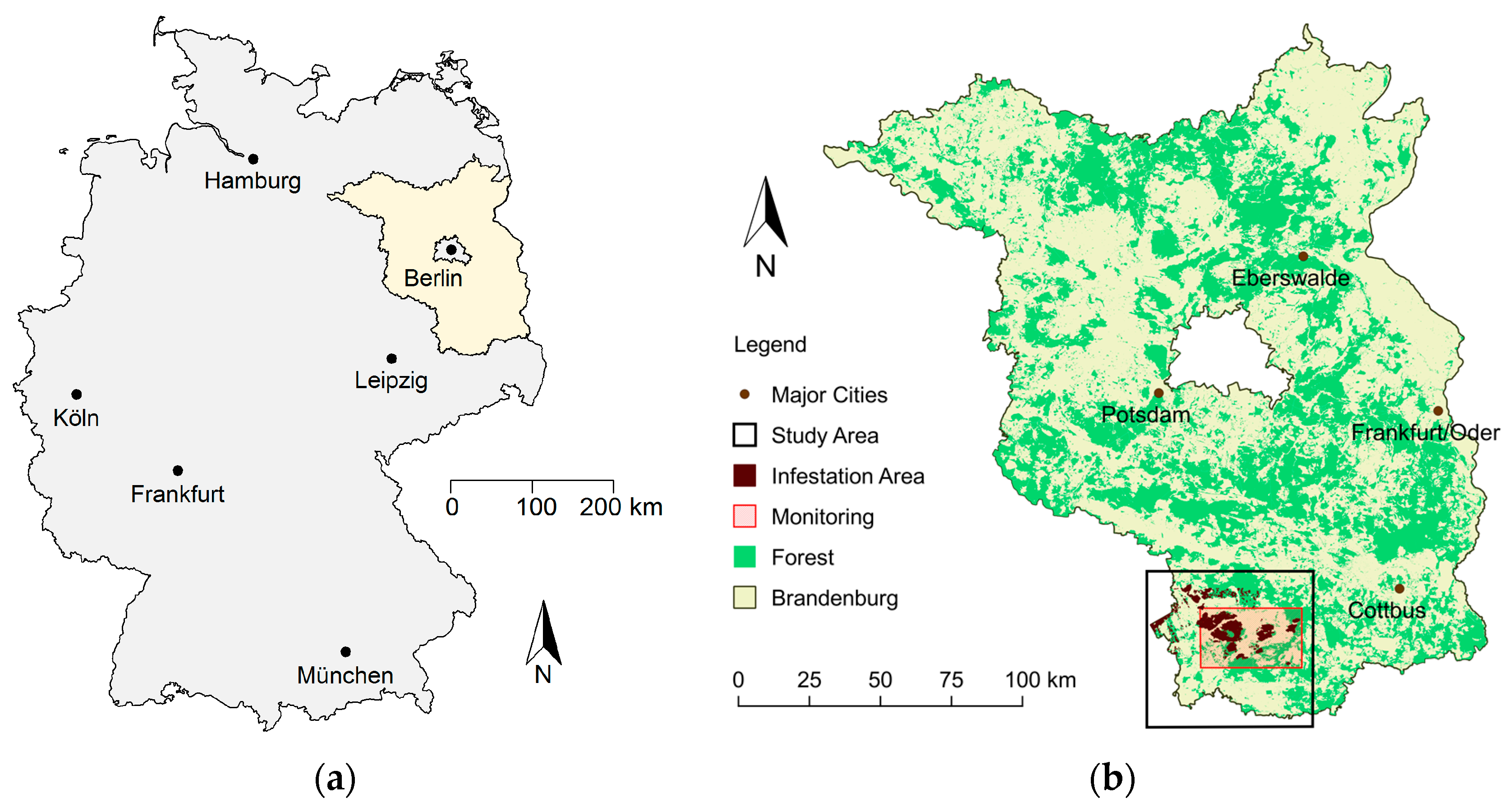 Forests 08 00319 g001 550