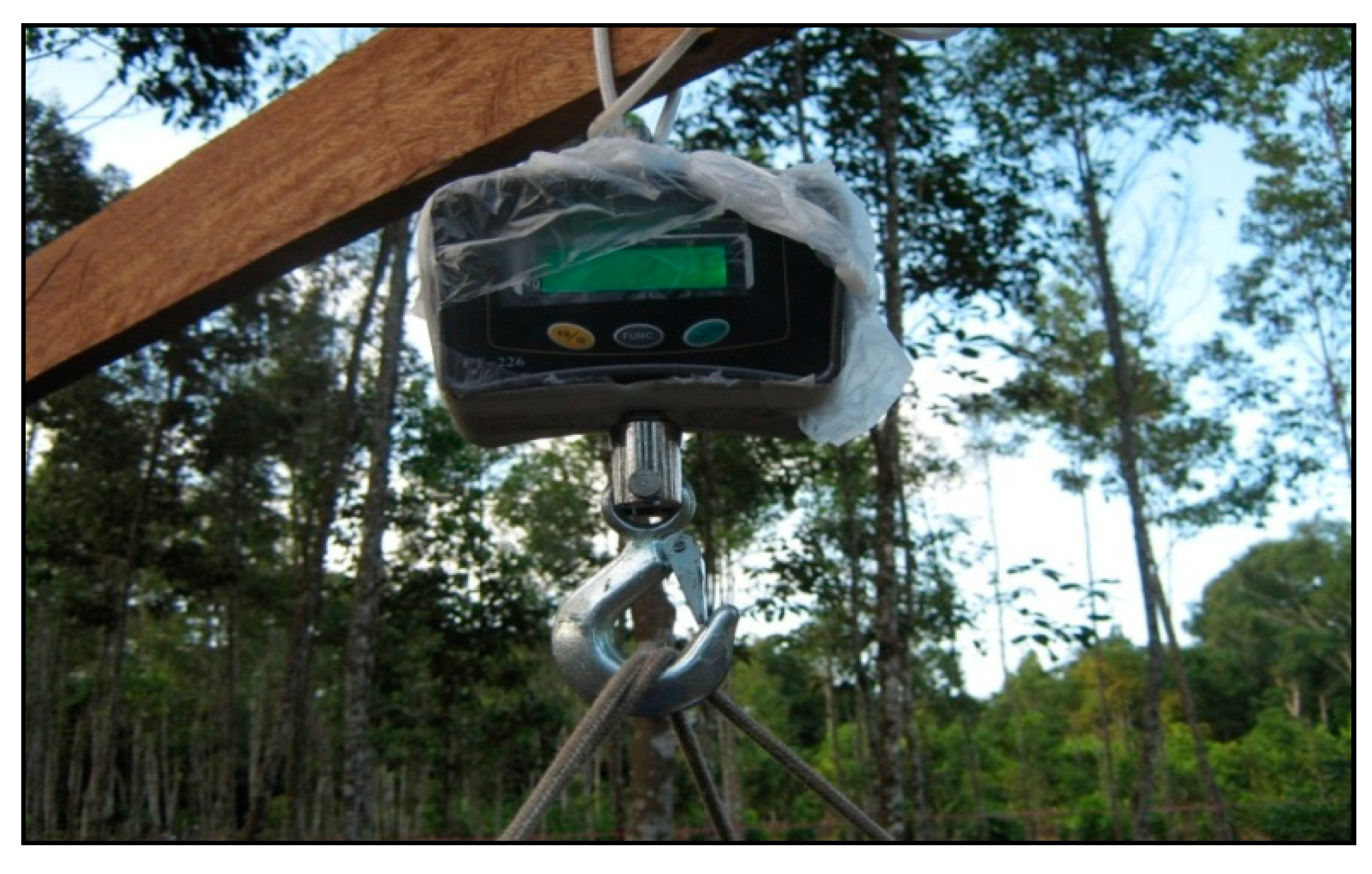 Forests 08 00327 g012