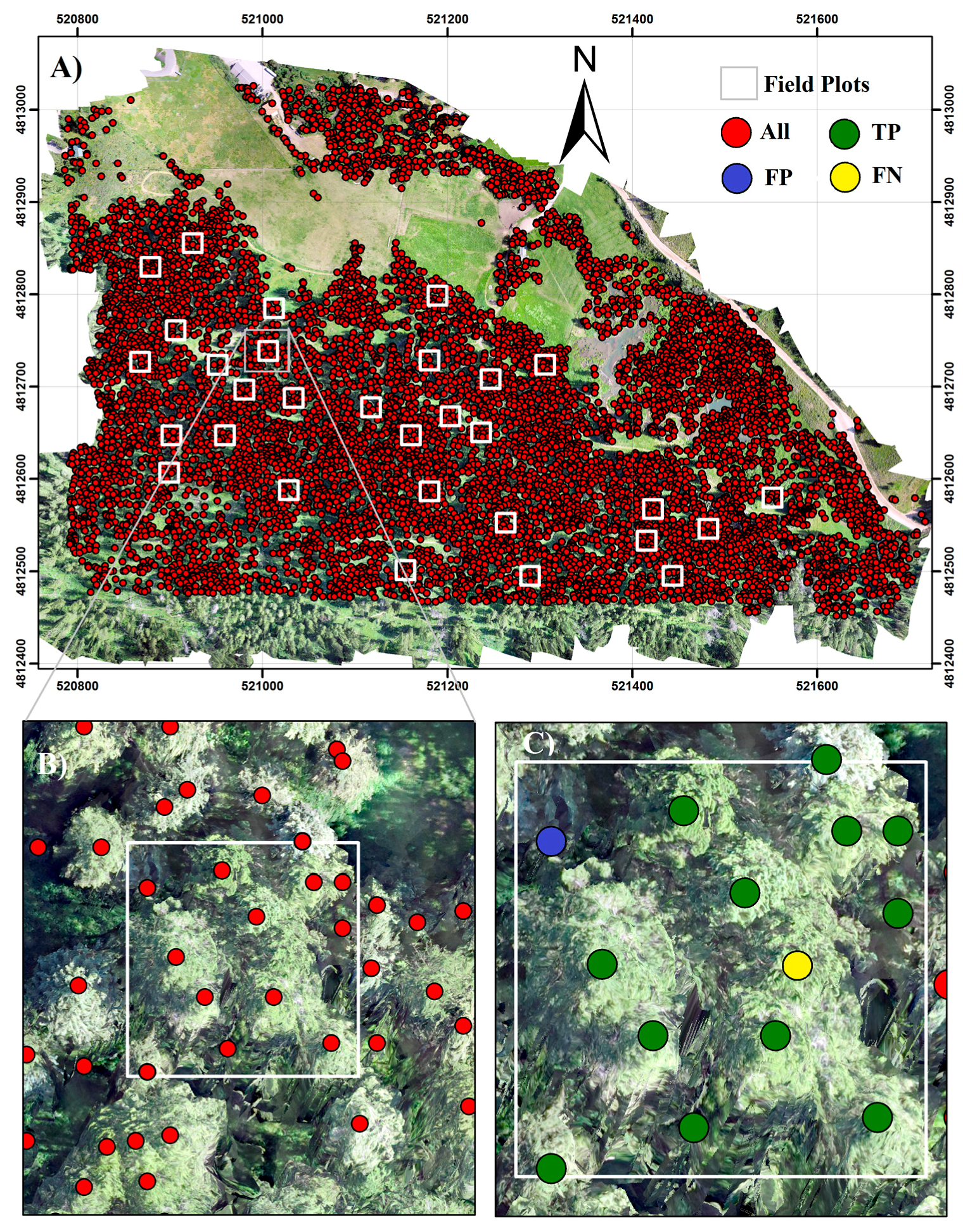 Forests 08 00340 g004 Forests 08 00340 g004