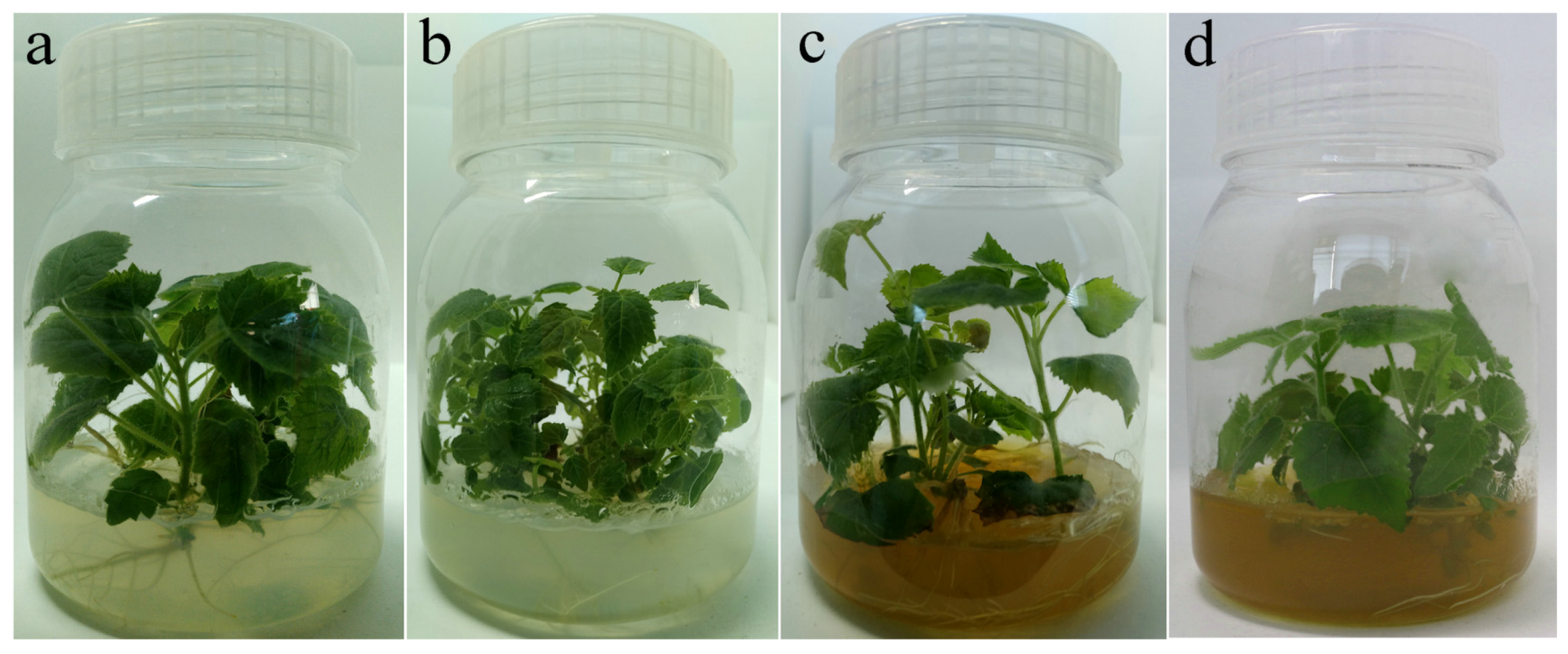 Forests 08 00348 g002 Forests 08 00348 g002