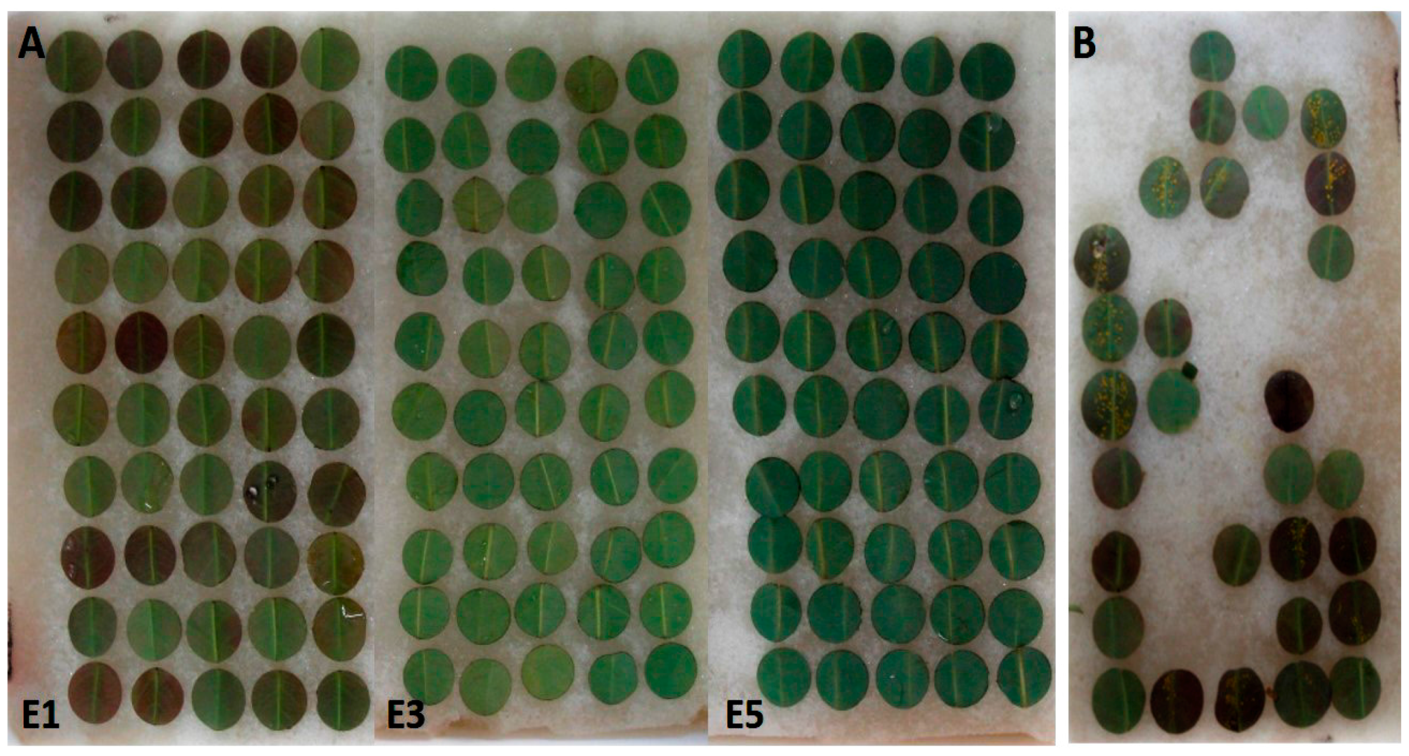 Forests 08 00362 g001 550