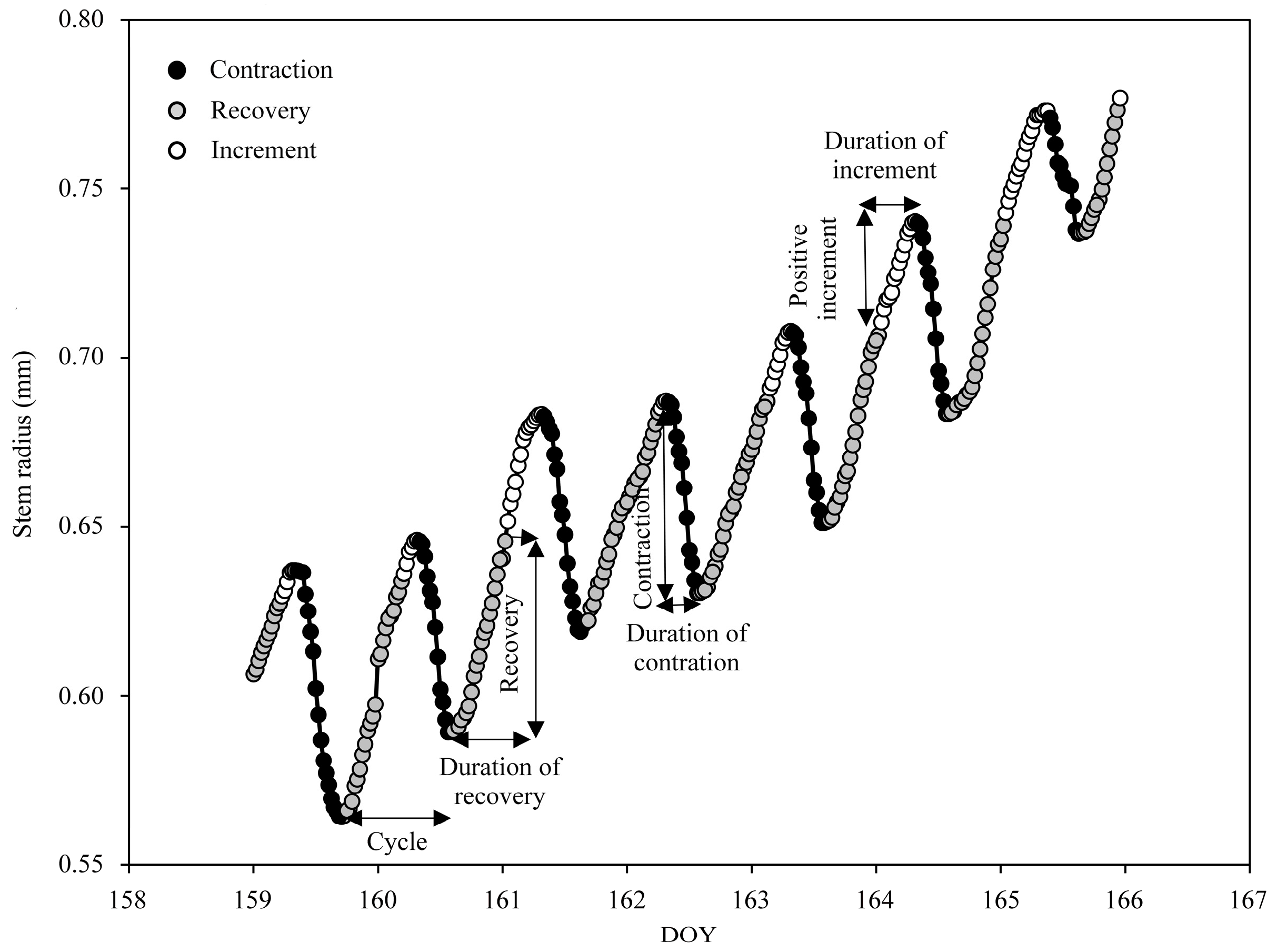 Forests 08 00382 g002 550