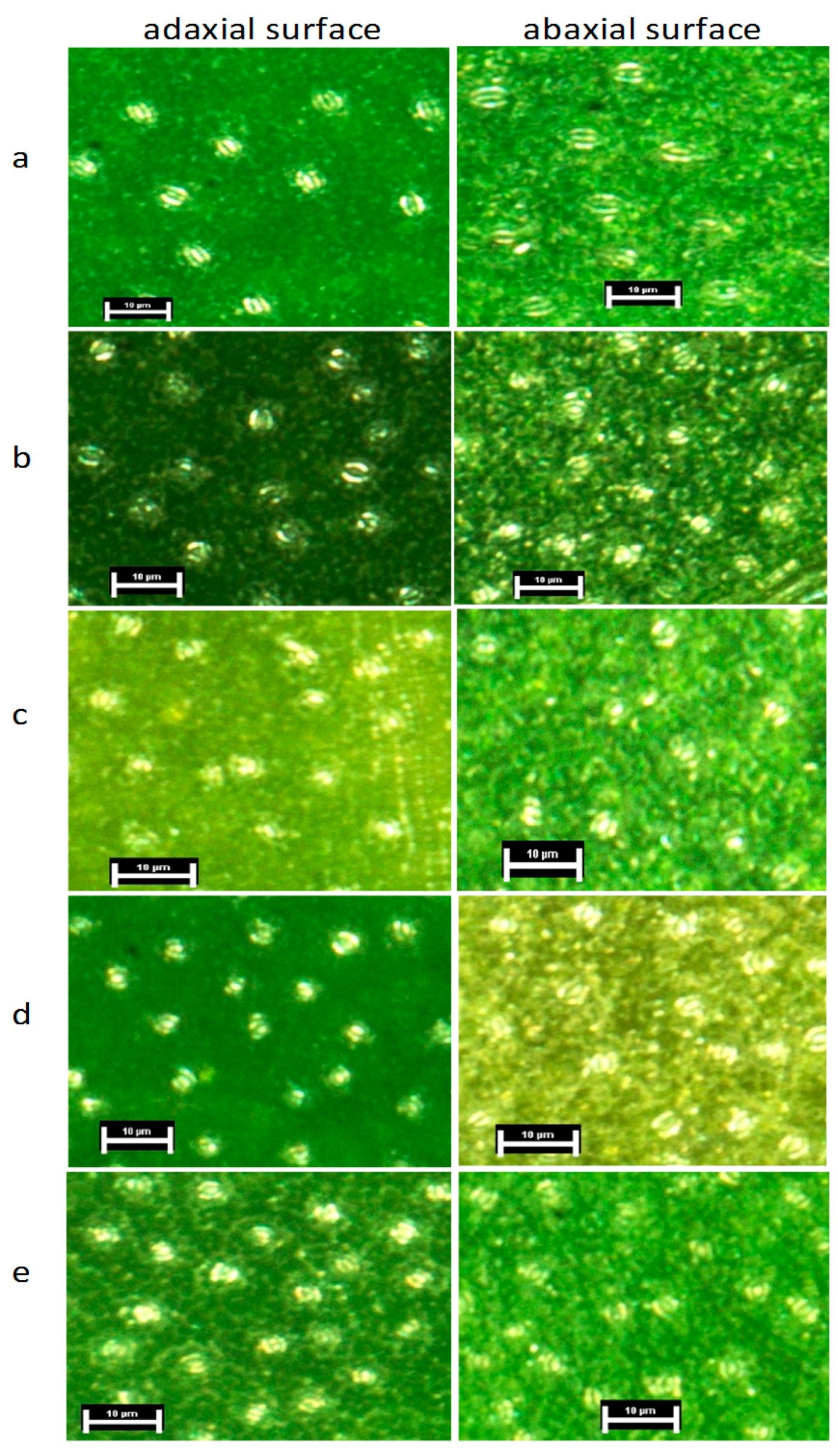 Forests 08 00388 g004