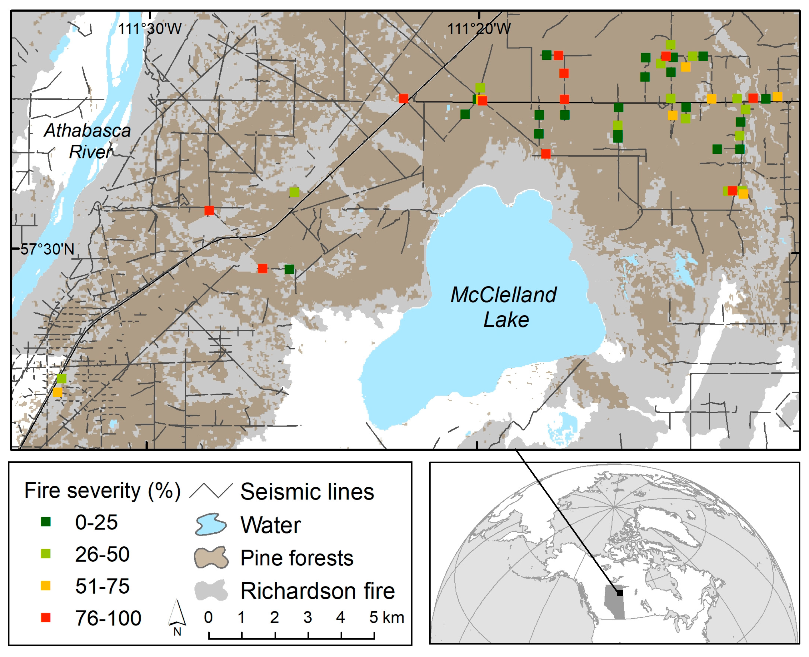 Forests 08 00398 g001 550