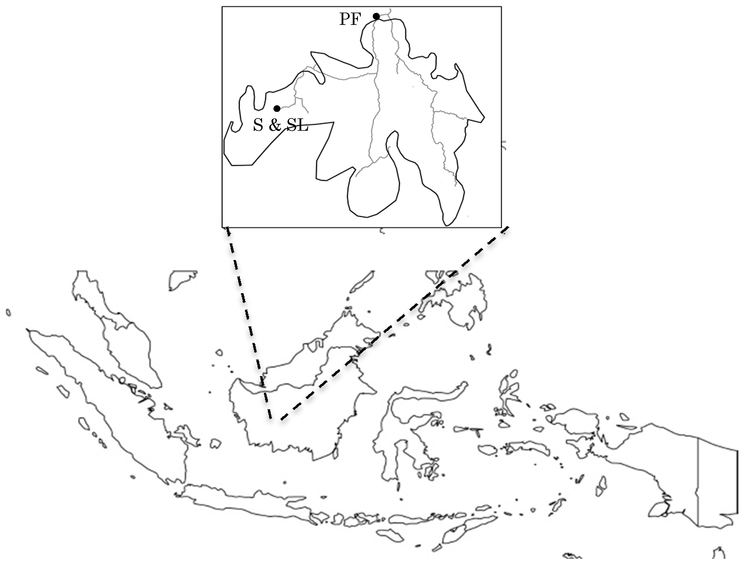 Forests Free Full Text The Effect Of Logging And Strip