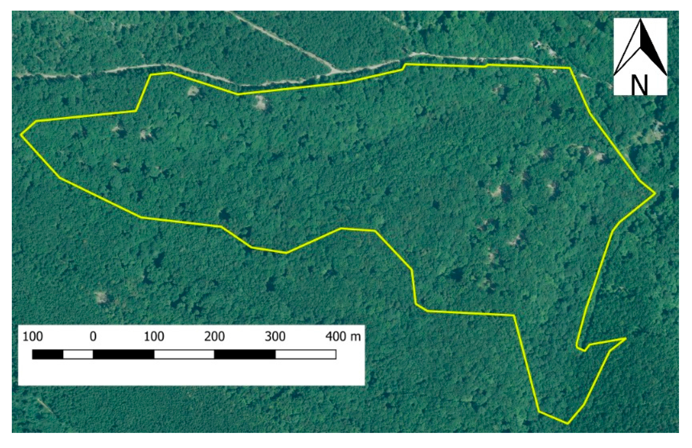Forests 08 00426 g002