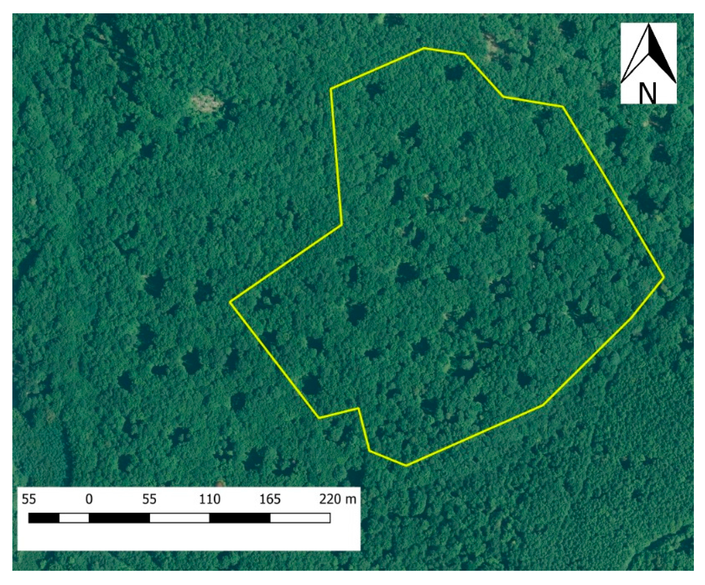 Forests 08 00426 g003