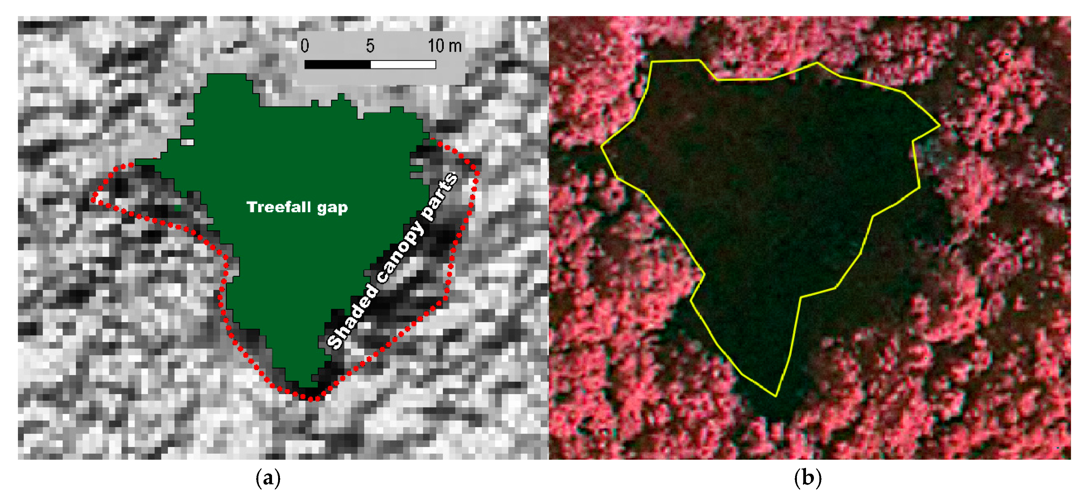 Forests 08 00426 g015