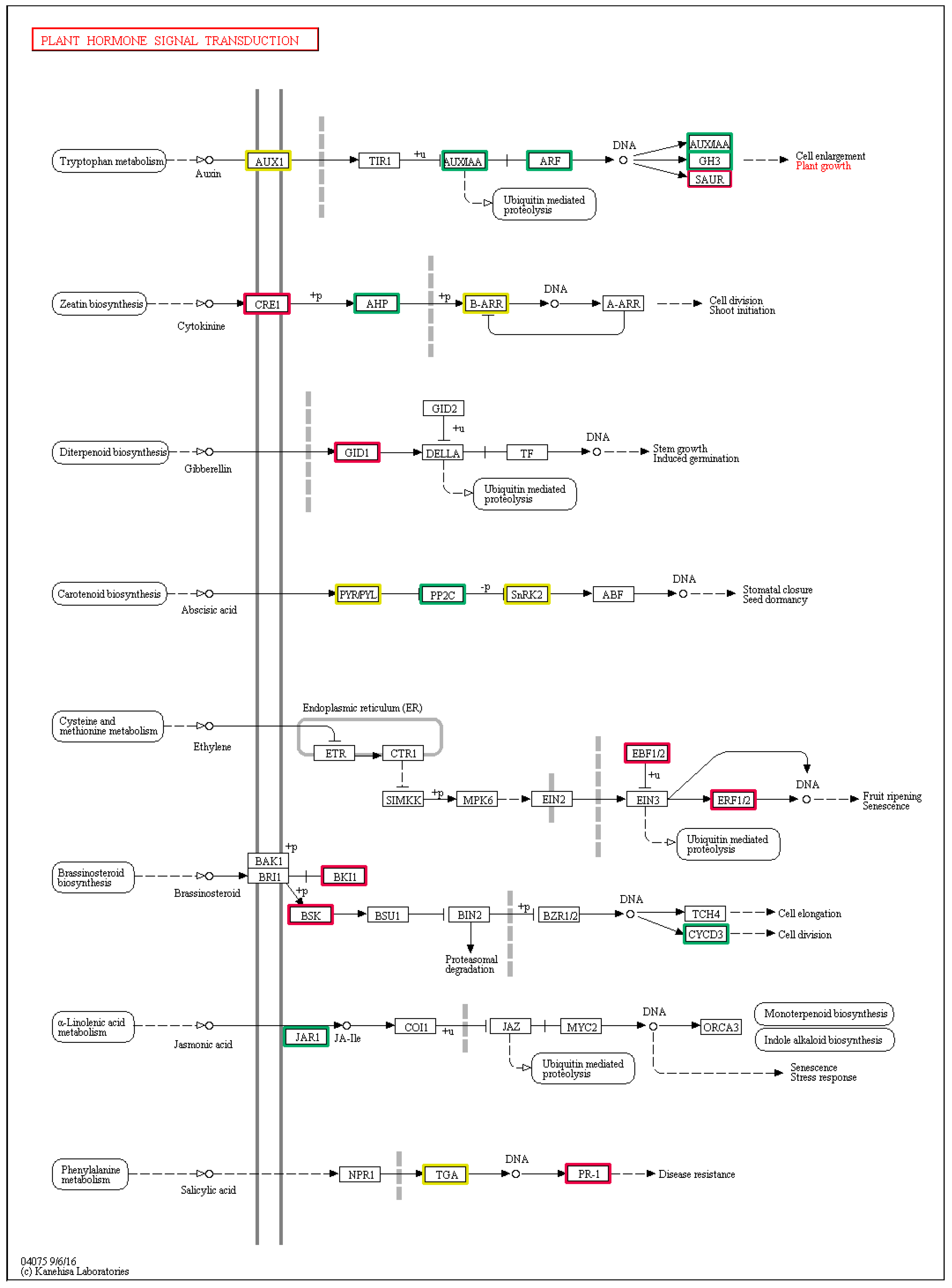Forests 08 00435 g007 550