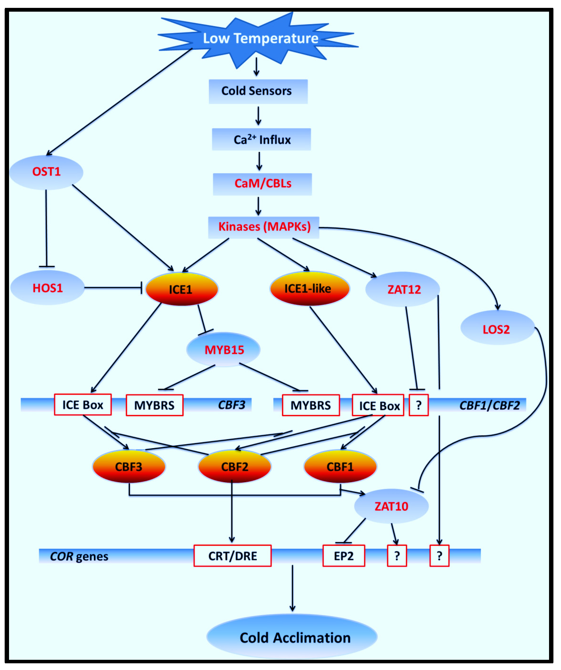 Forests 08 00435 g009 550