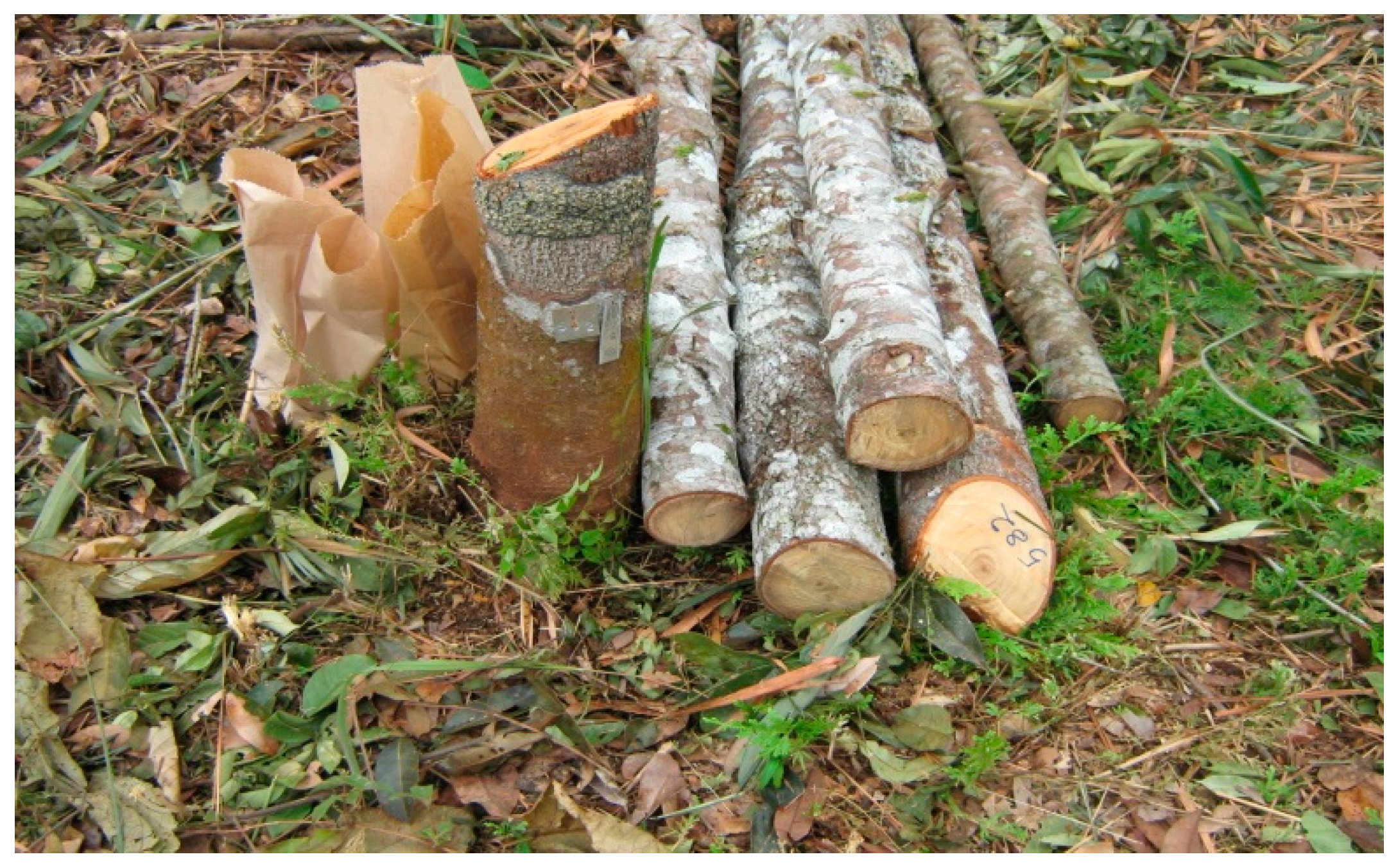 Forests 08 00438 g0a12