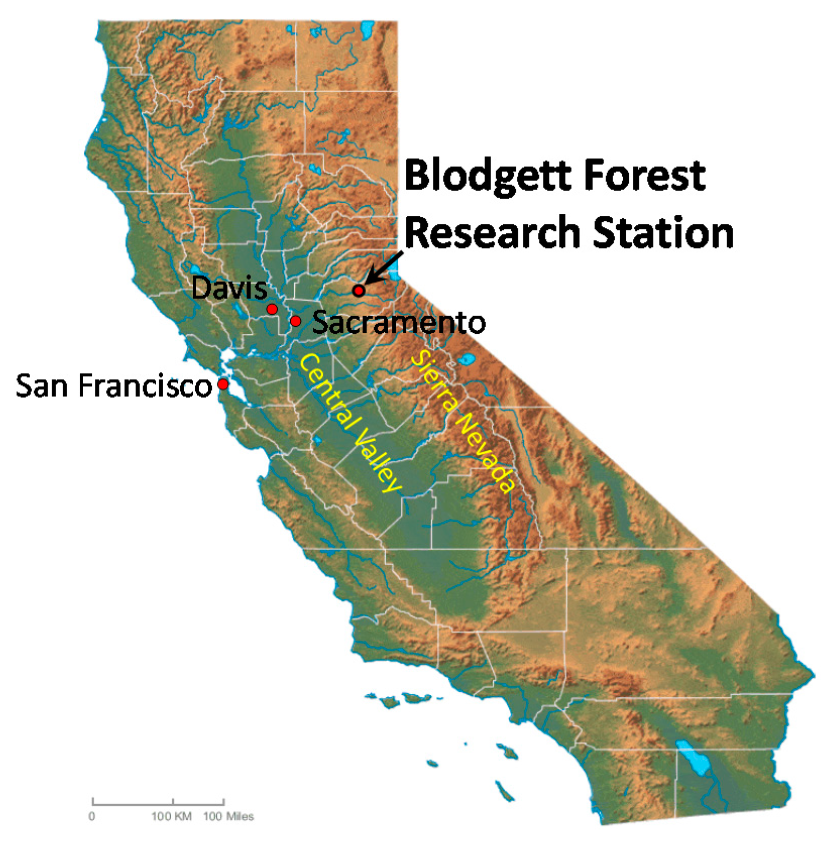 Forests 08 00442 g003