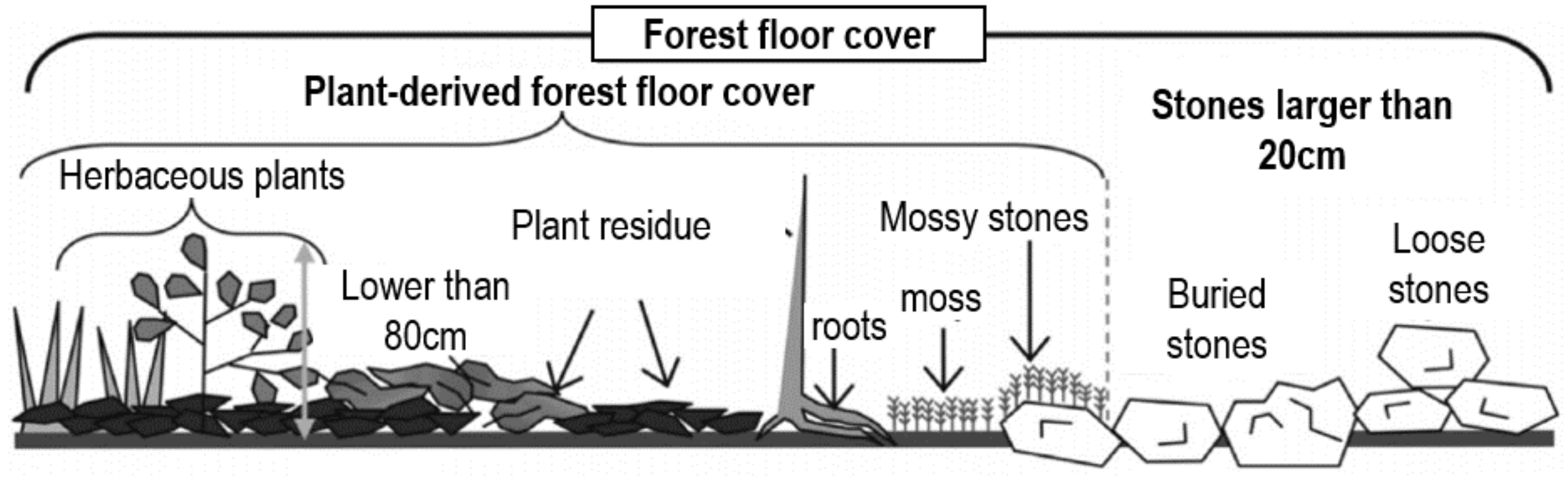 Forests 08 00453 g001