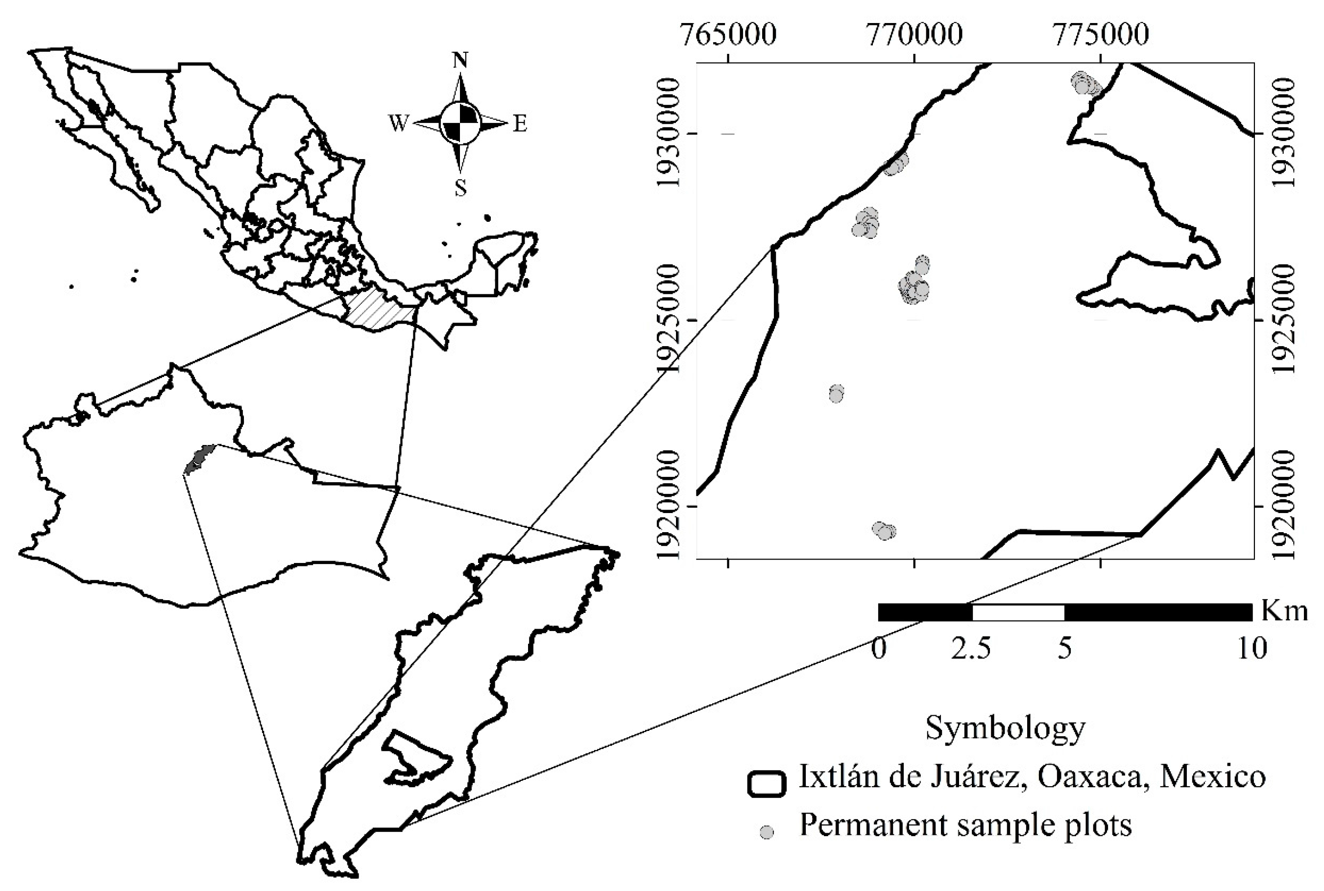Forests 08 00465 g001