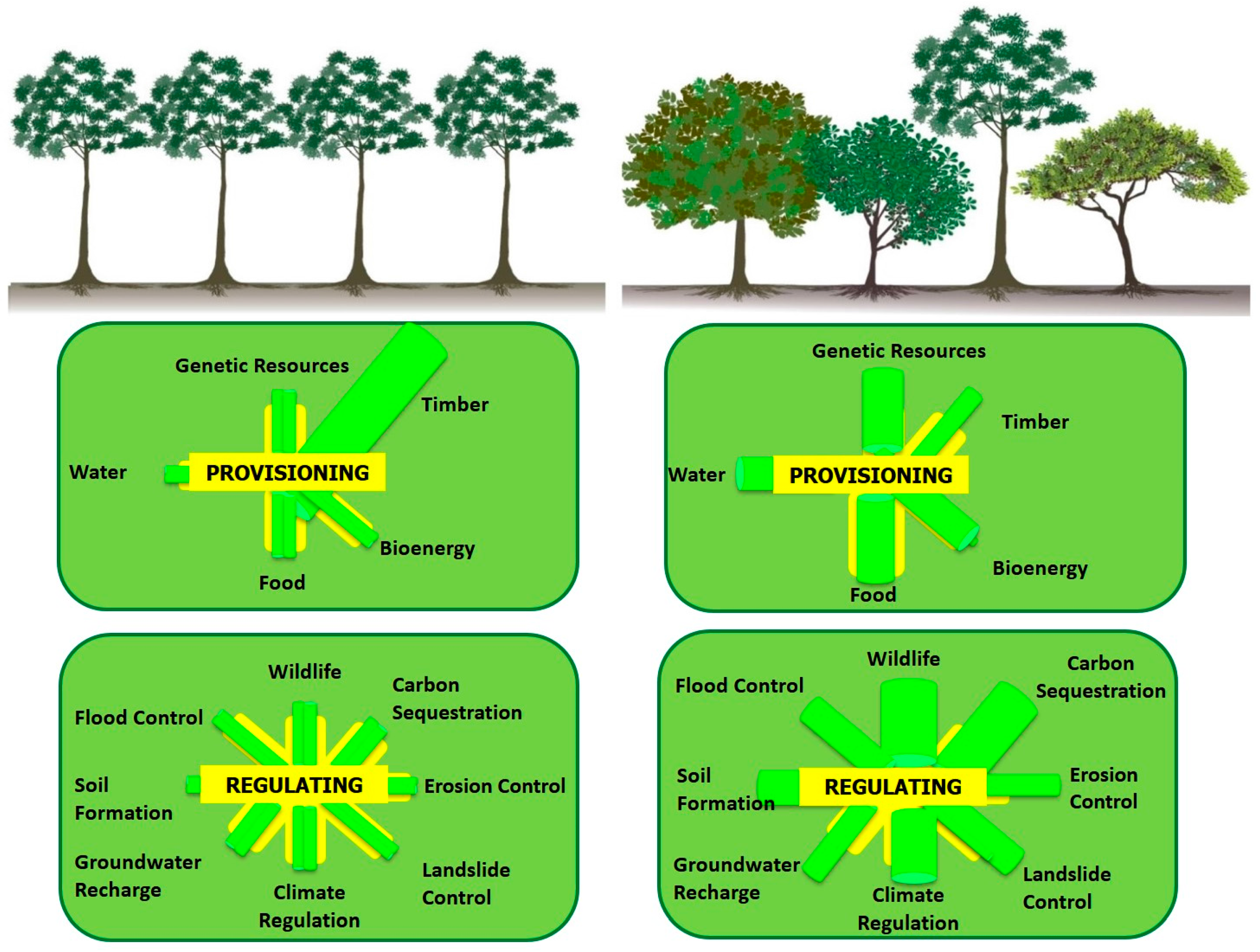 Biodiversity change
