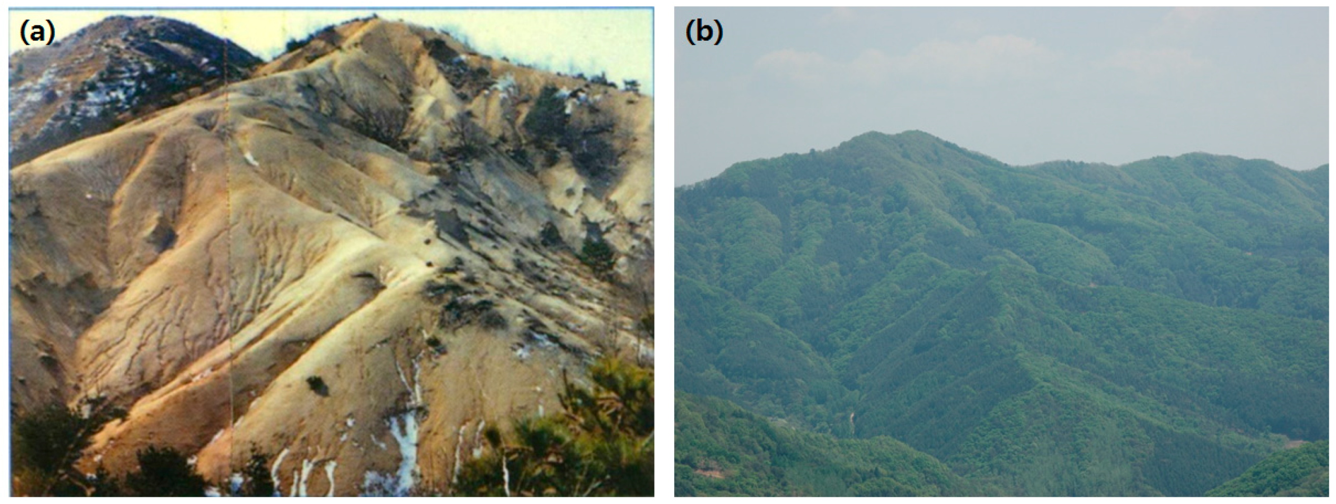 Forests 08 00496 g003