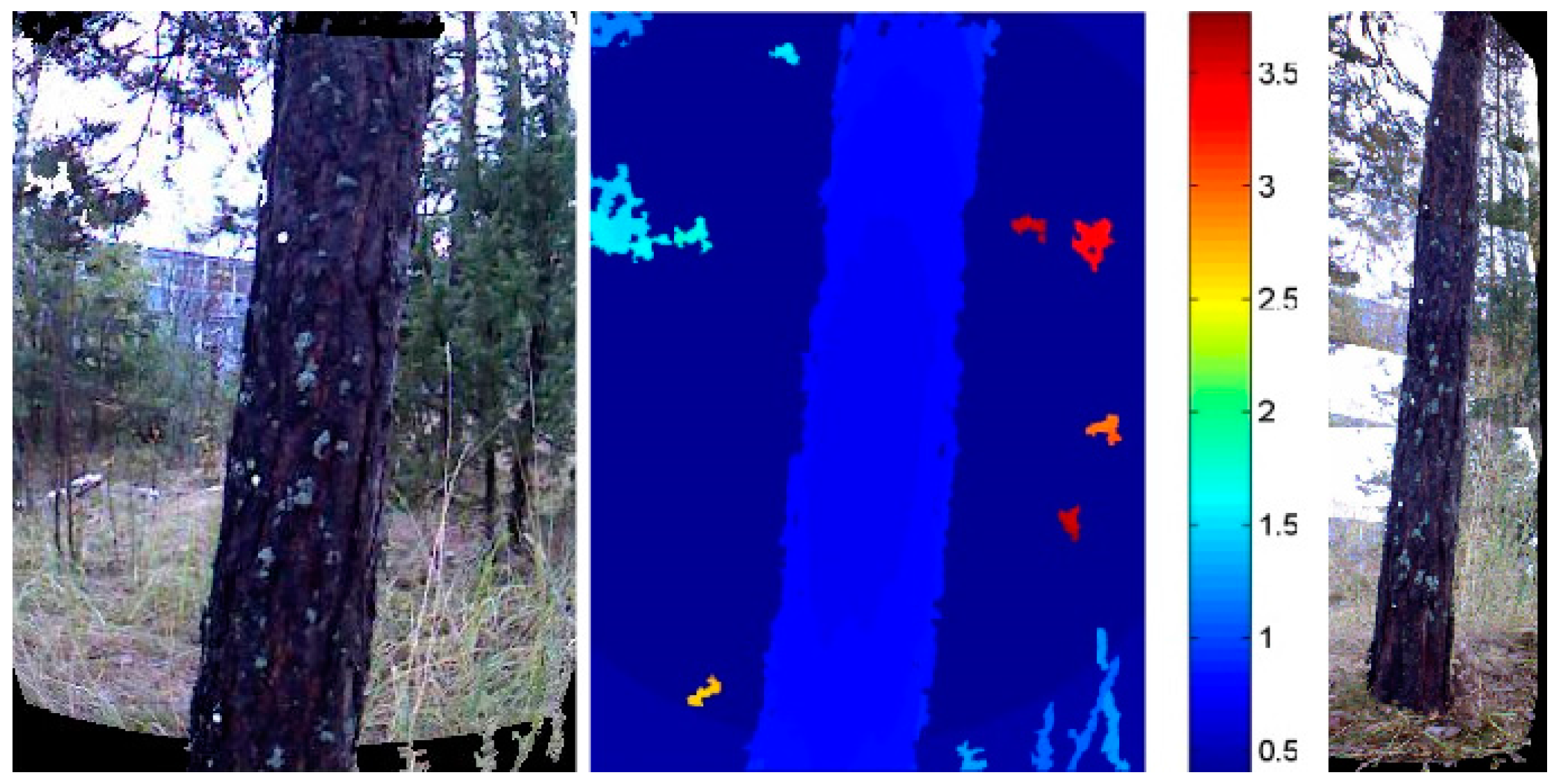 Forests 09 00006 g001 Forests 09 00006 g001