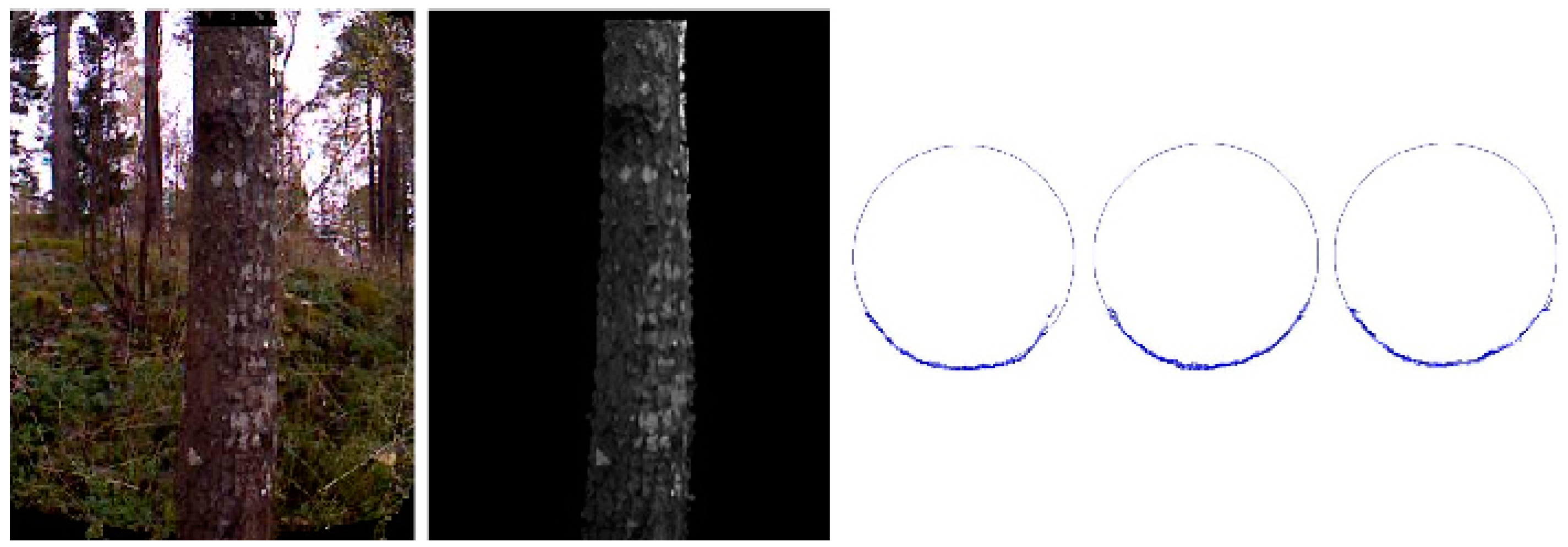 Forests 09 00006 g002 Forests 09 00006 g002