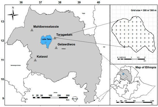 Forests Free Full Text The Carbon Dynamics Of Dry - 